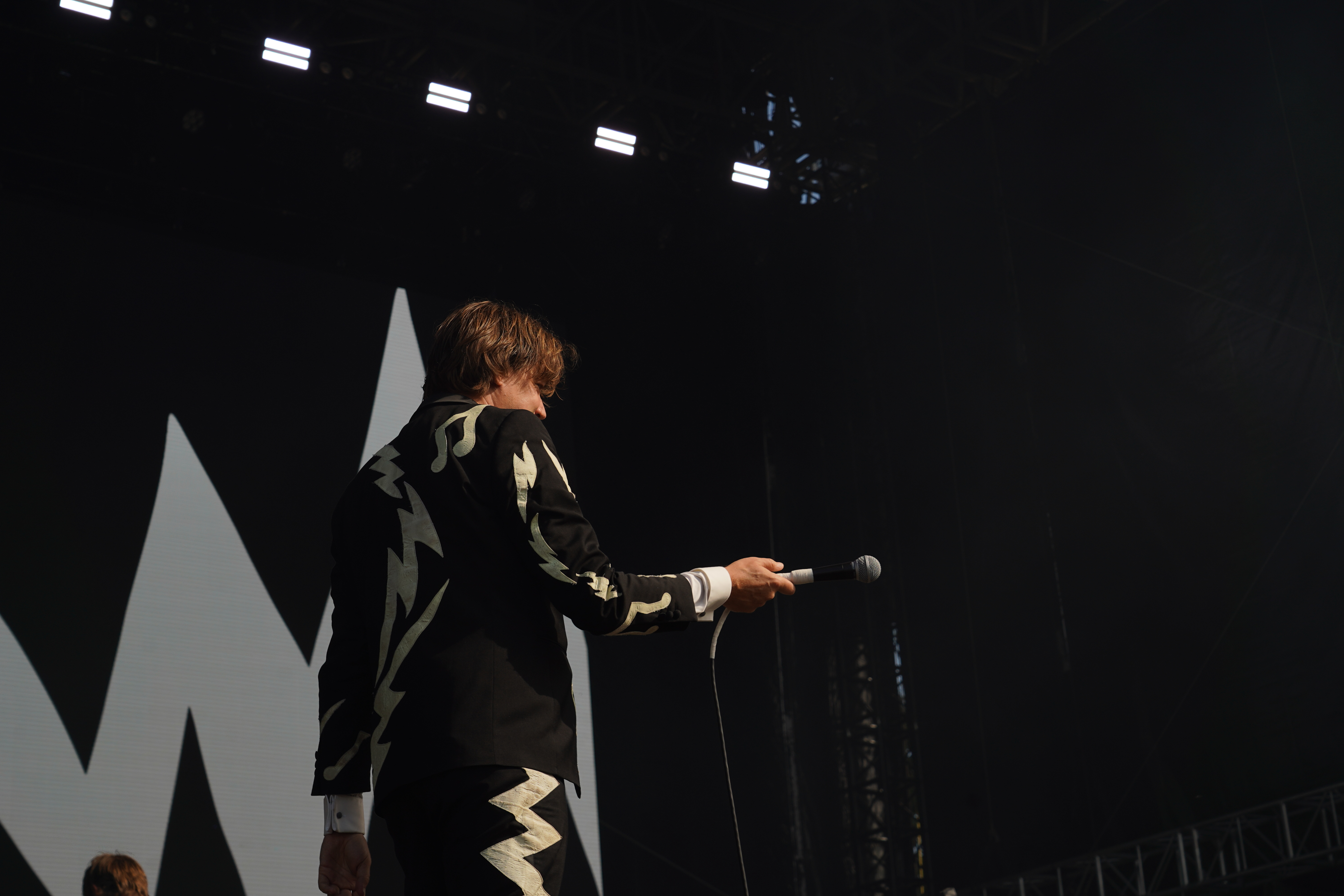 The Hives