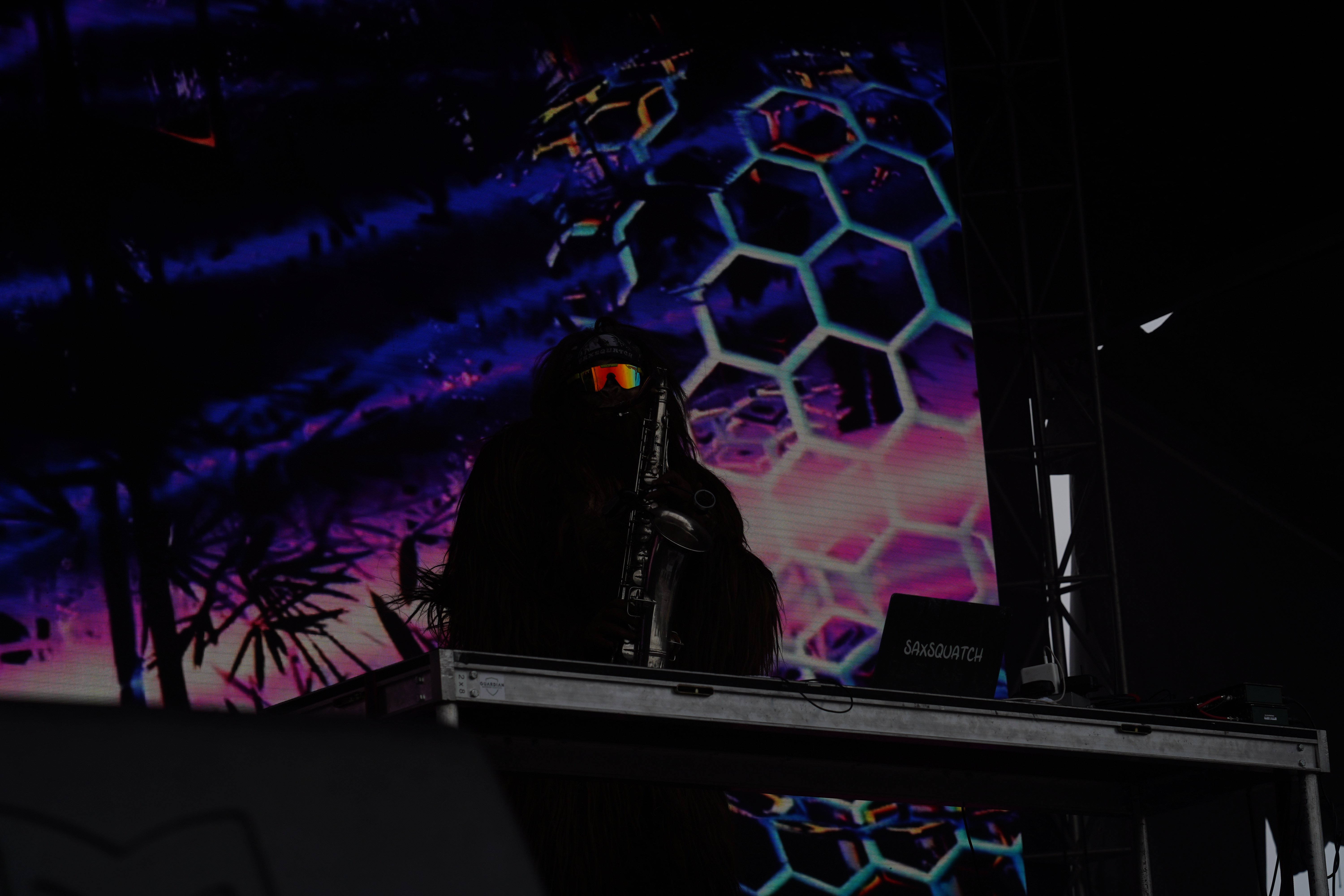 Saxsquatch — Riot Fest 2024
