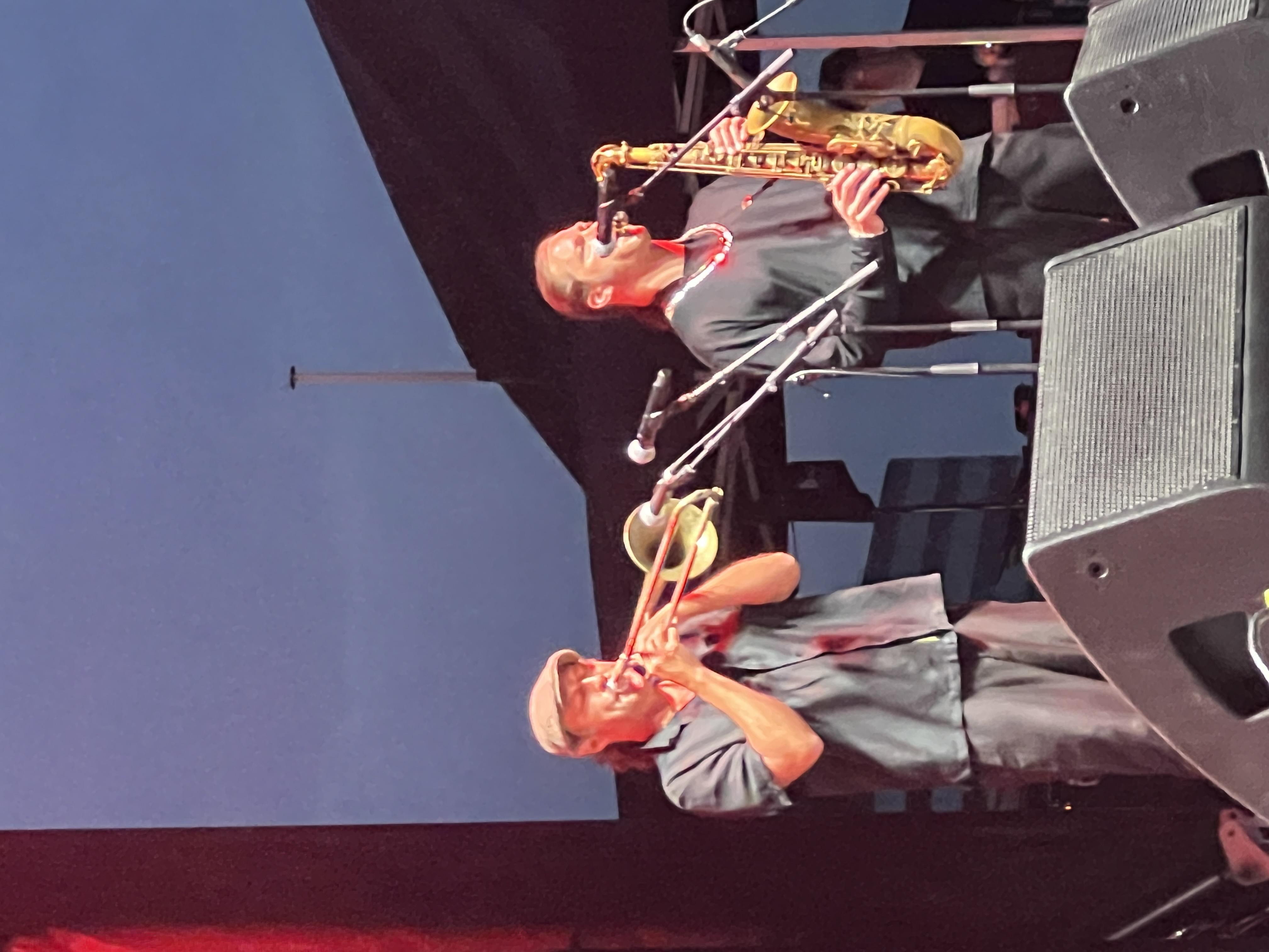Don Carlos — Dallas Reggae Festival 2024