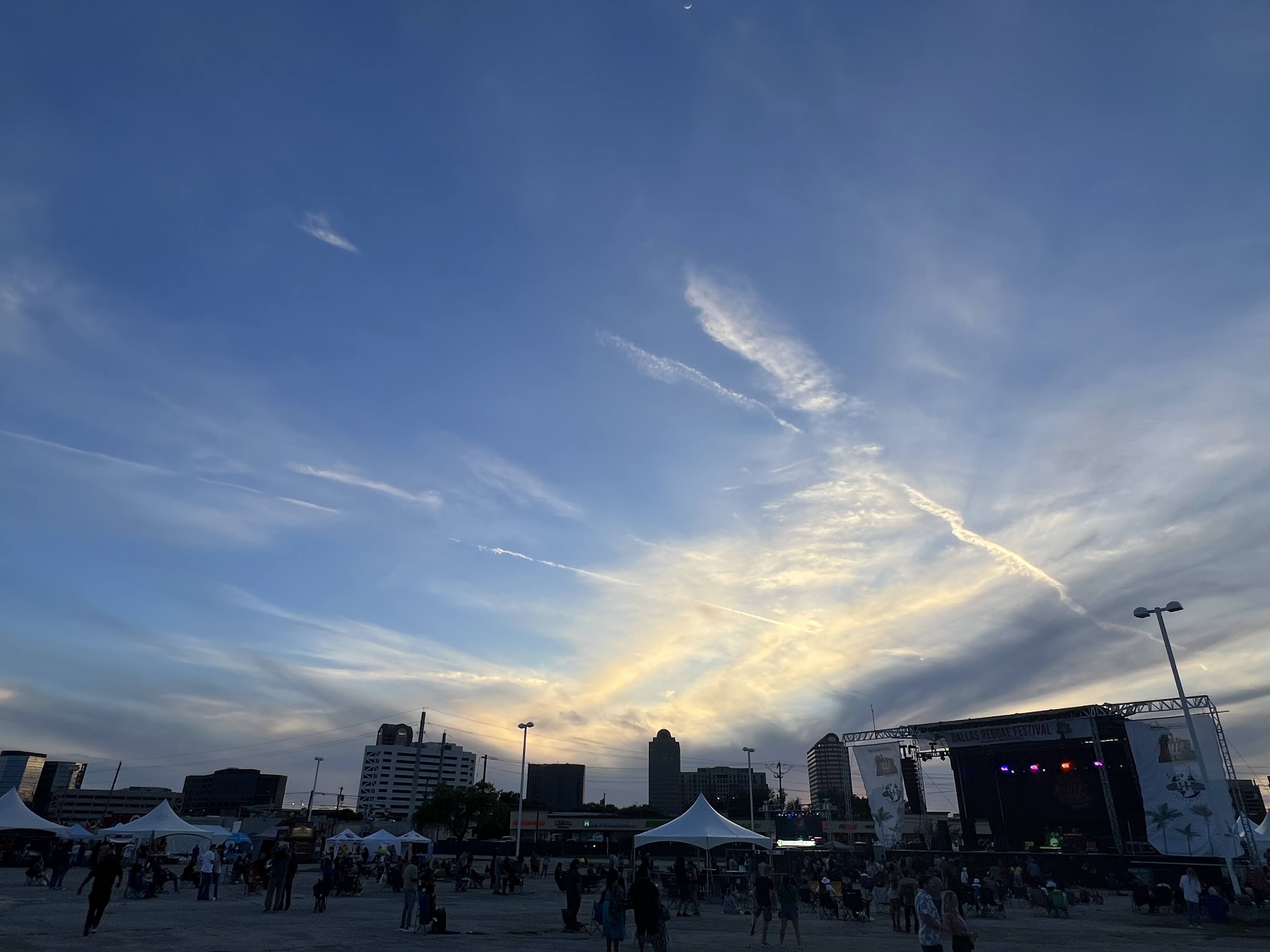 Festival — Dallas Reggae Festival 2024
