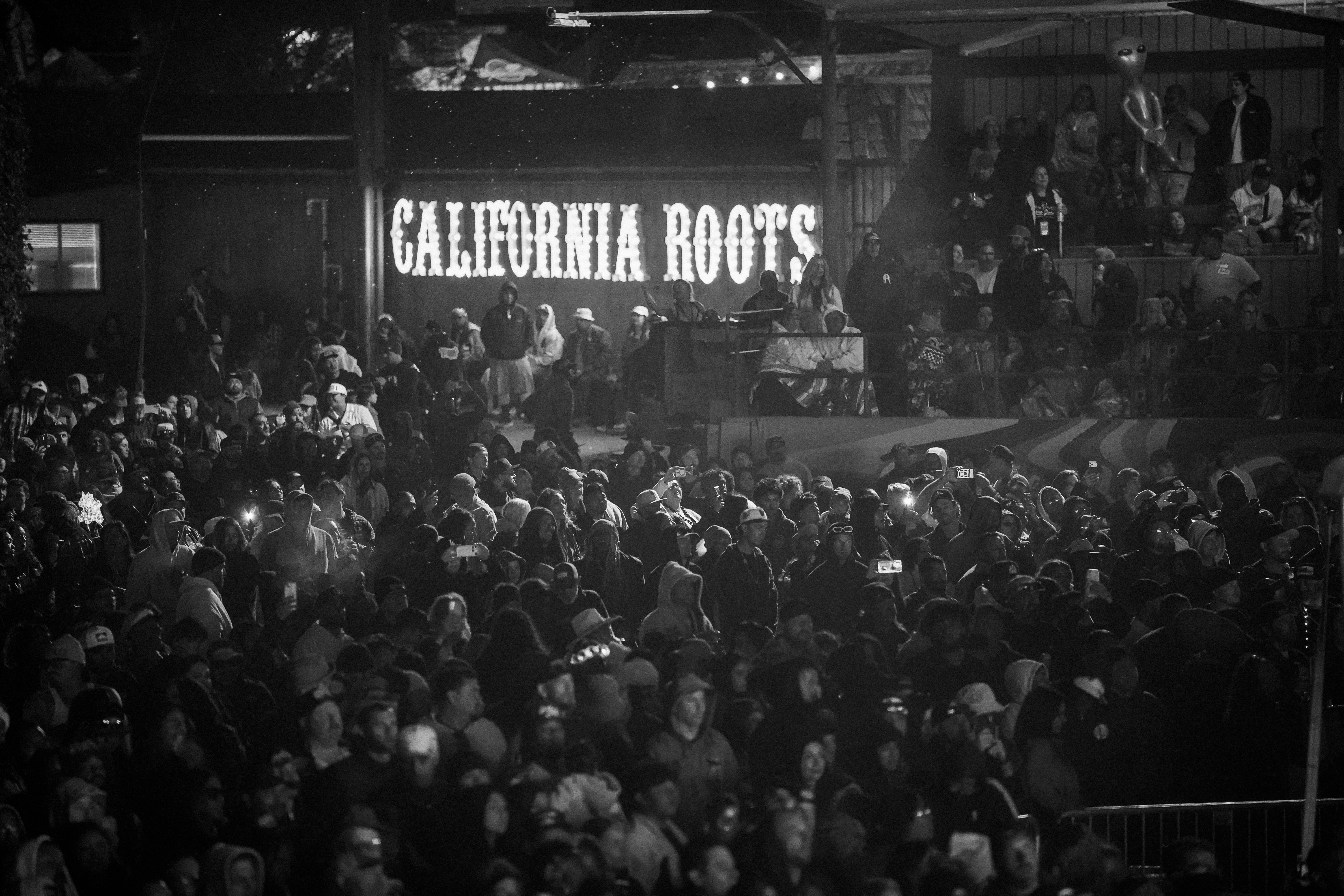 Festival — California Roots Music & Arts Festival 2026 — Cali Roots 2026