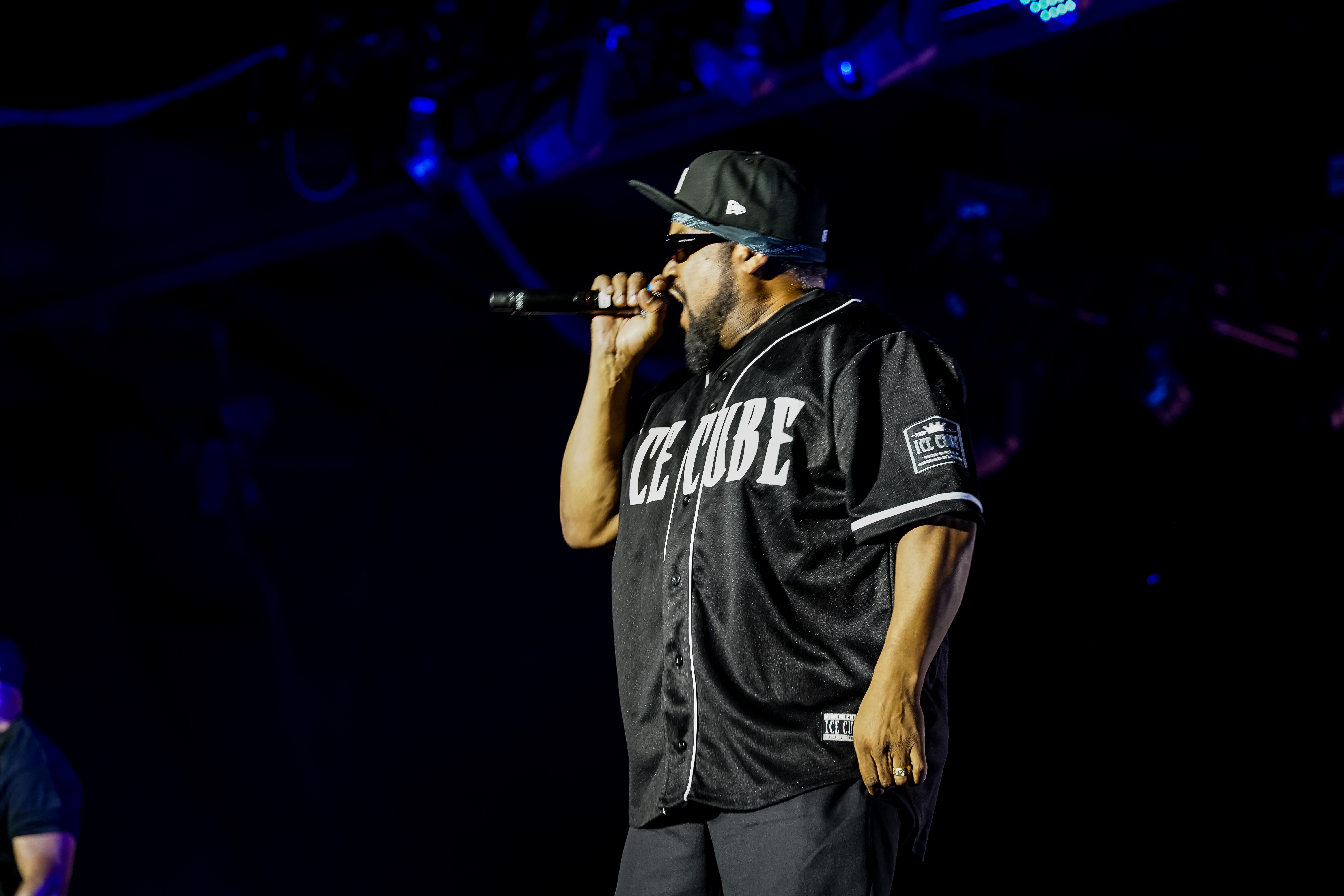 Ice Cube — California Roots Music & Arts Festival 2026 — Cali Roots 2026