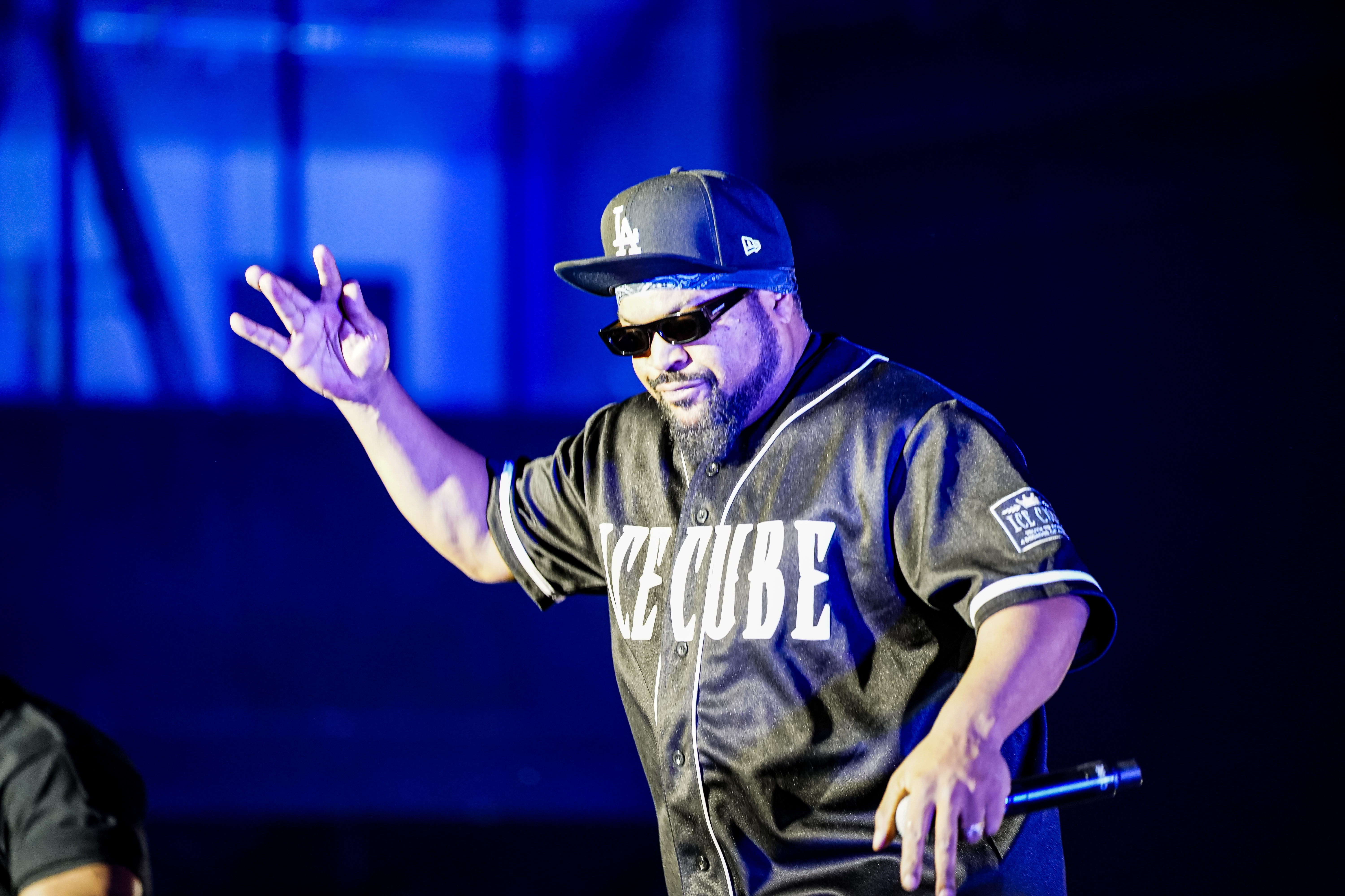 Ice Cube — California Roots Music & Arts Festival 2026 — Cali Roots 2026