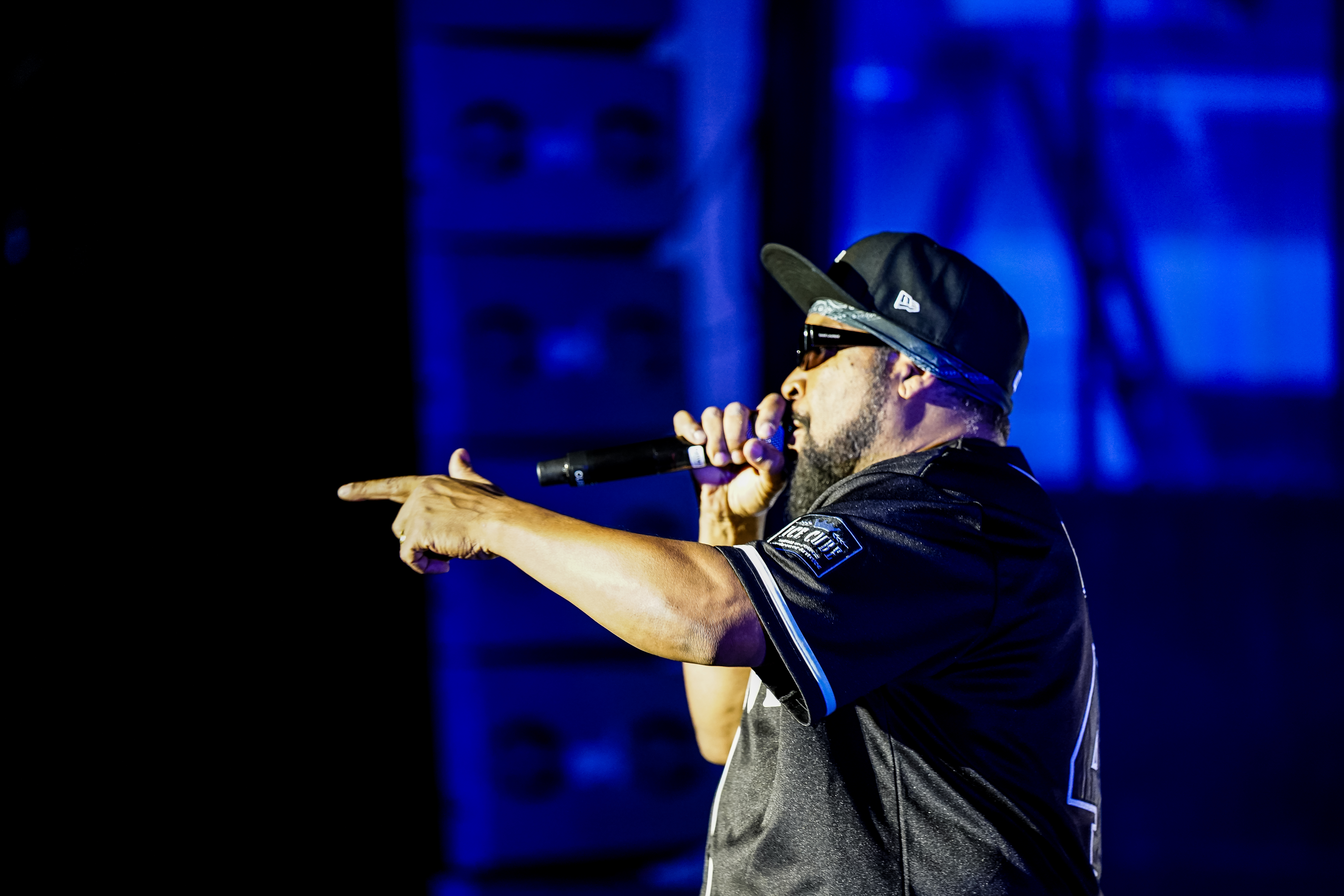 Ice Cube — California Roots Music & Arts Festival 2026 — Cali Roots 2026