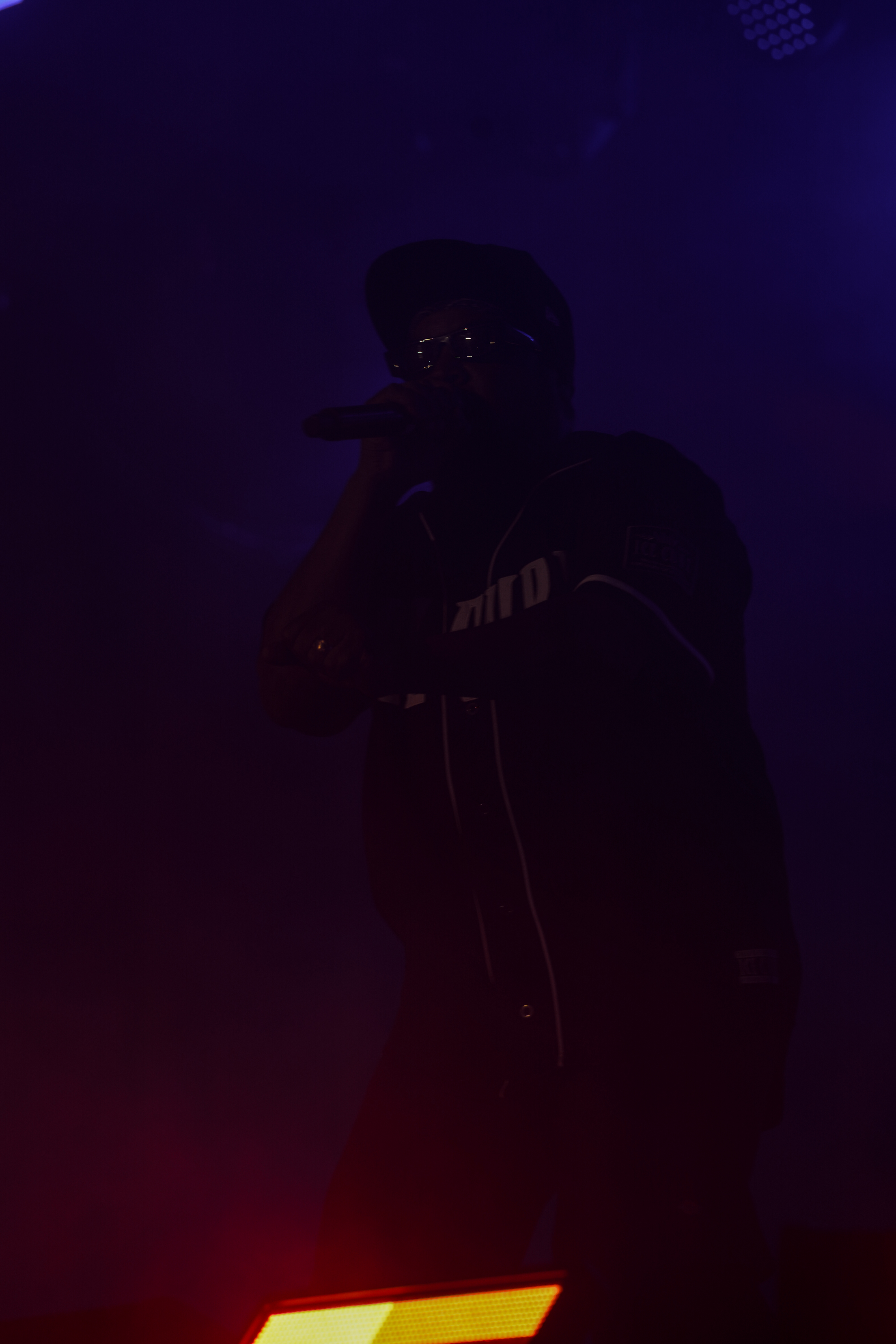 Ice Cube — California Roots Music & Arts Festival 2026 — Cali Roots 2026