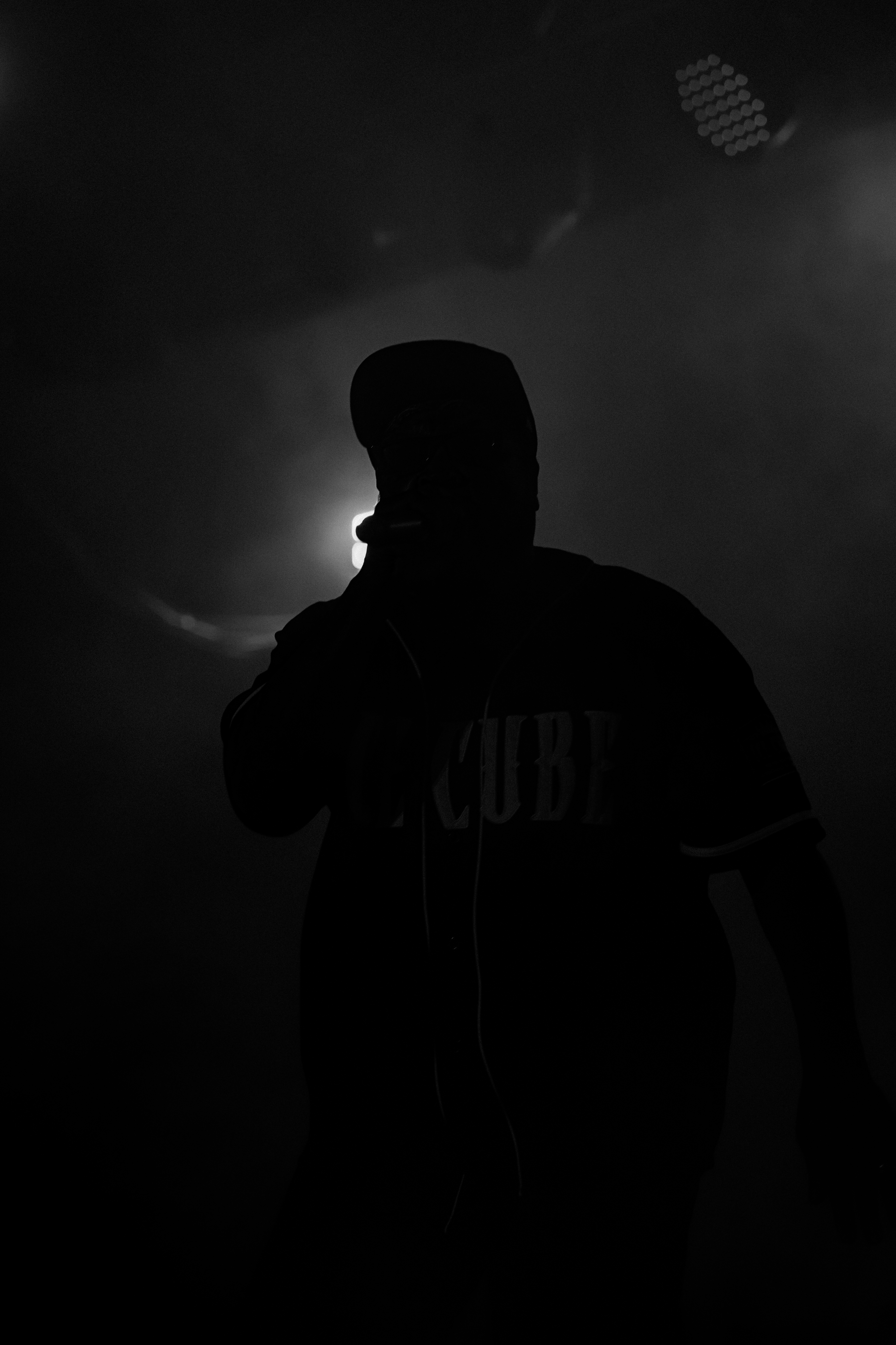 Ice Cube — California Roots Music & Arts Festival 2026 — Cali Roots 2026