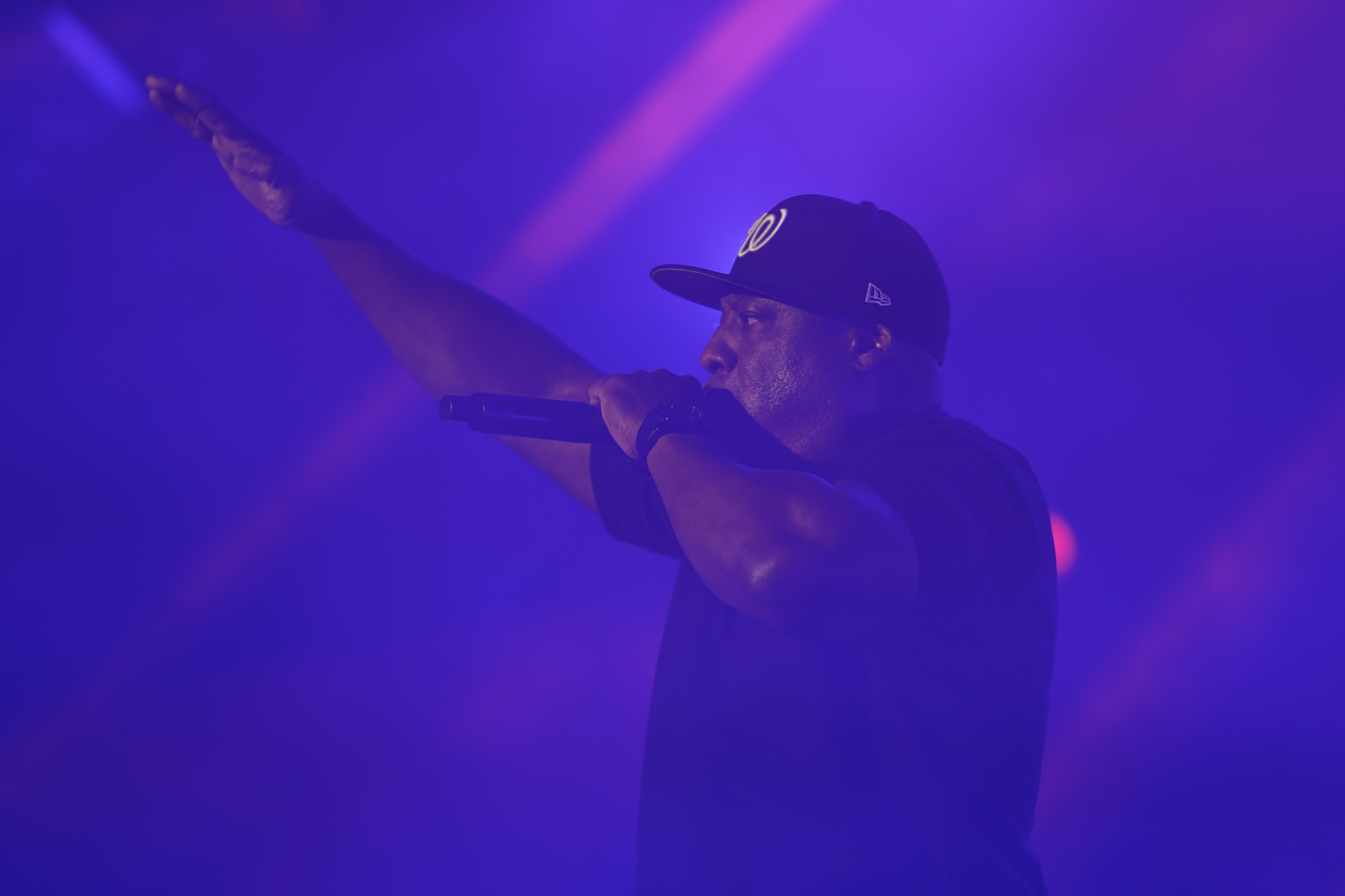 Ice Cube — California Roots Music & Arts Festival 2026 — Cali Roots 2026