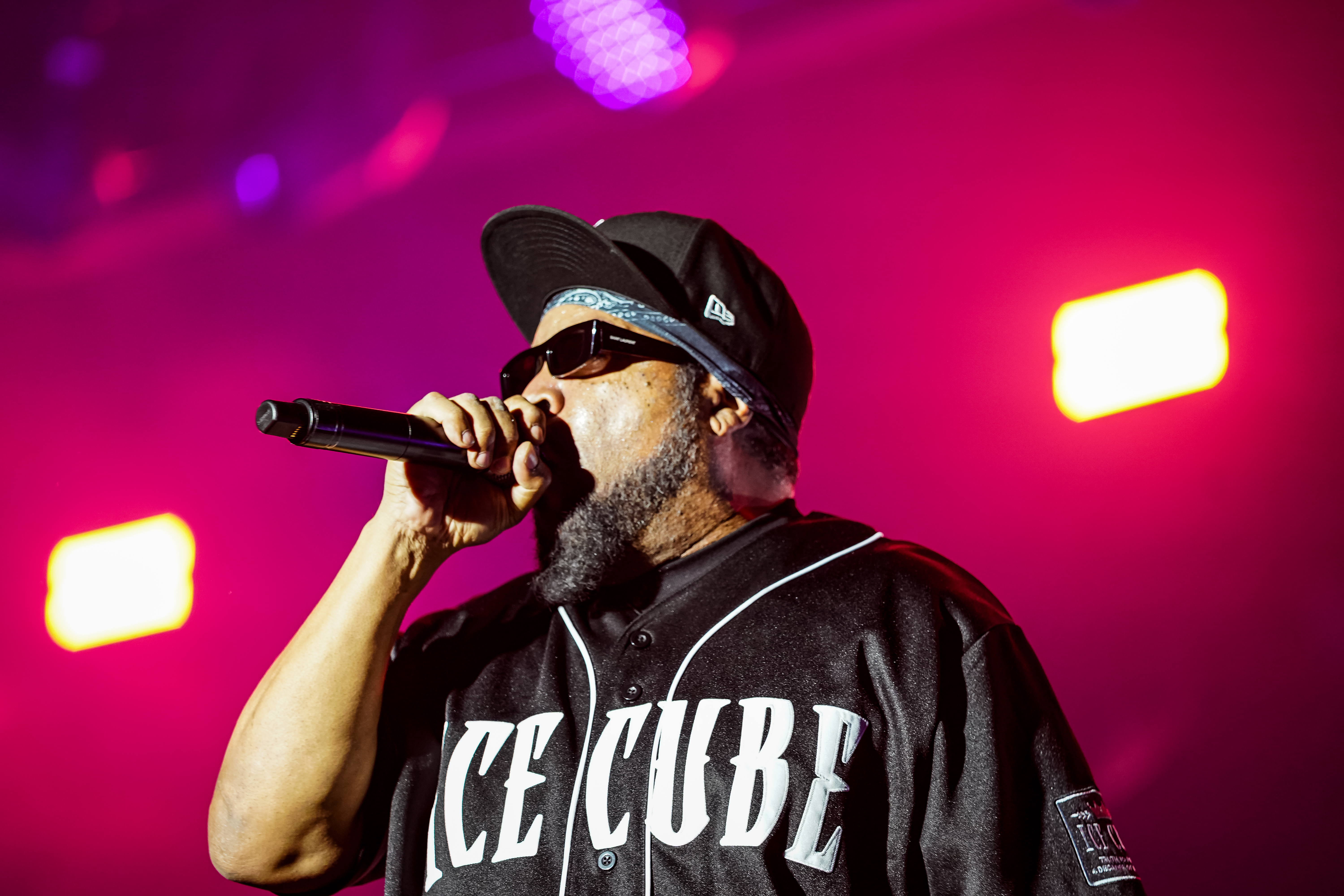 Ice Cube — California Roots Music & Arts Festival 2026 — Cali Roots 2026