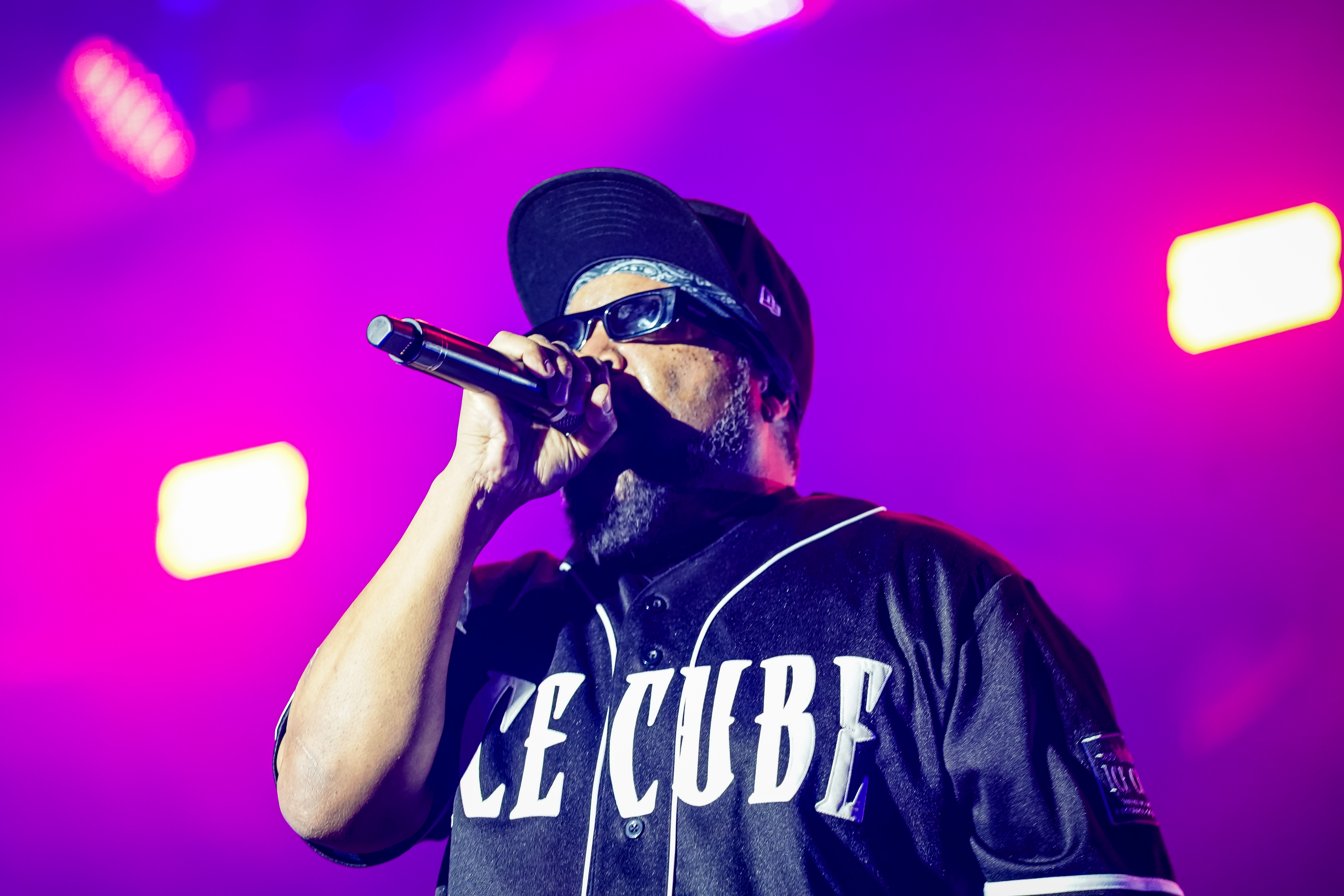 Ice Cube — California Roots Music & Arts Festival 2026 — Cali Roots 2026