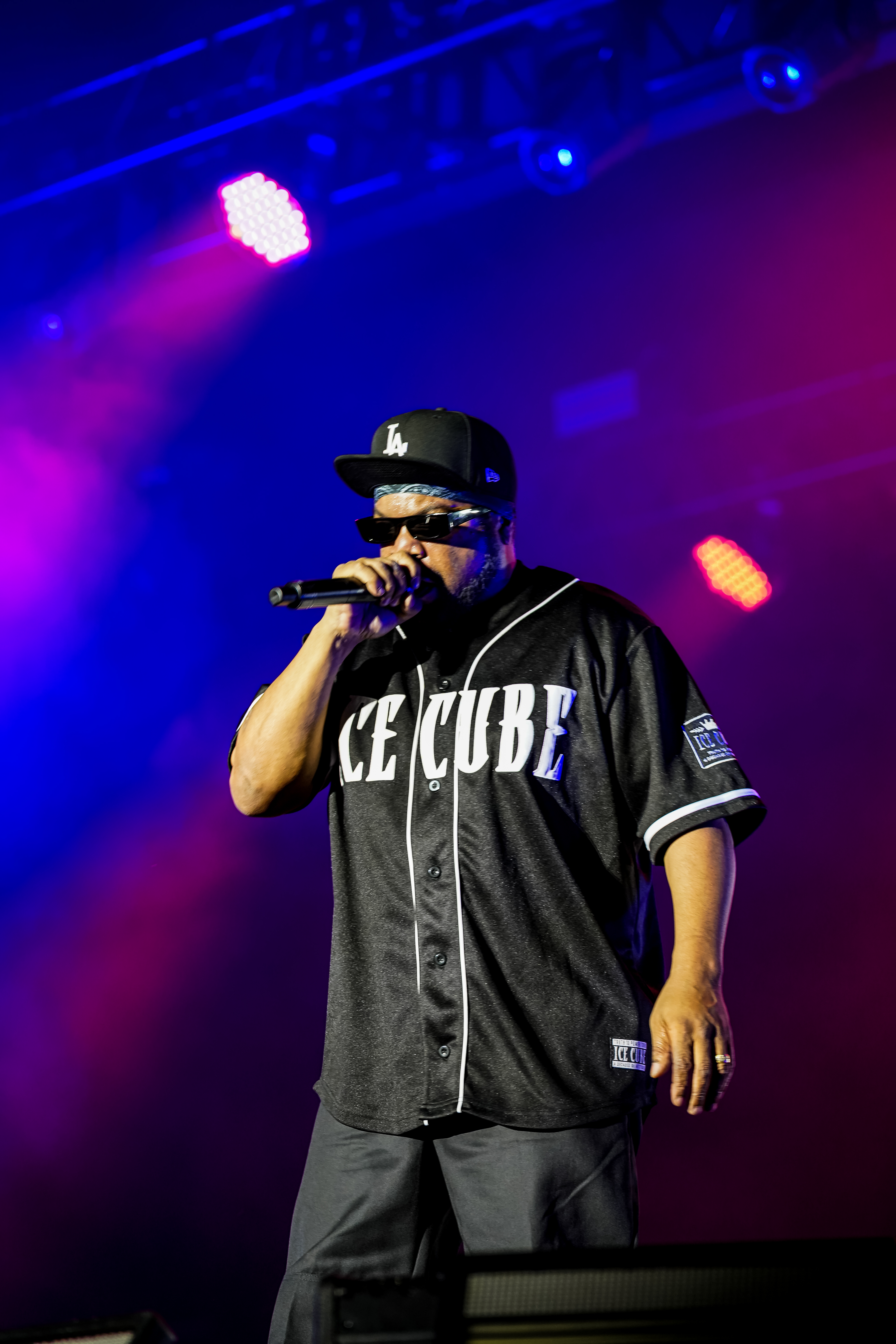 Ice Cube — California Roots Music & Arts Festival 2026 — Cali Roots 2026