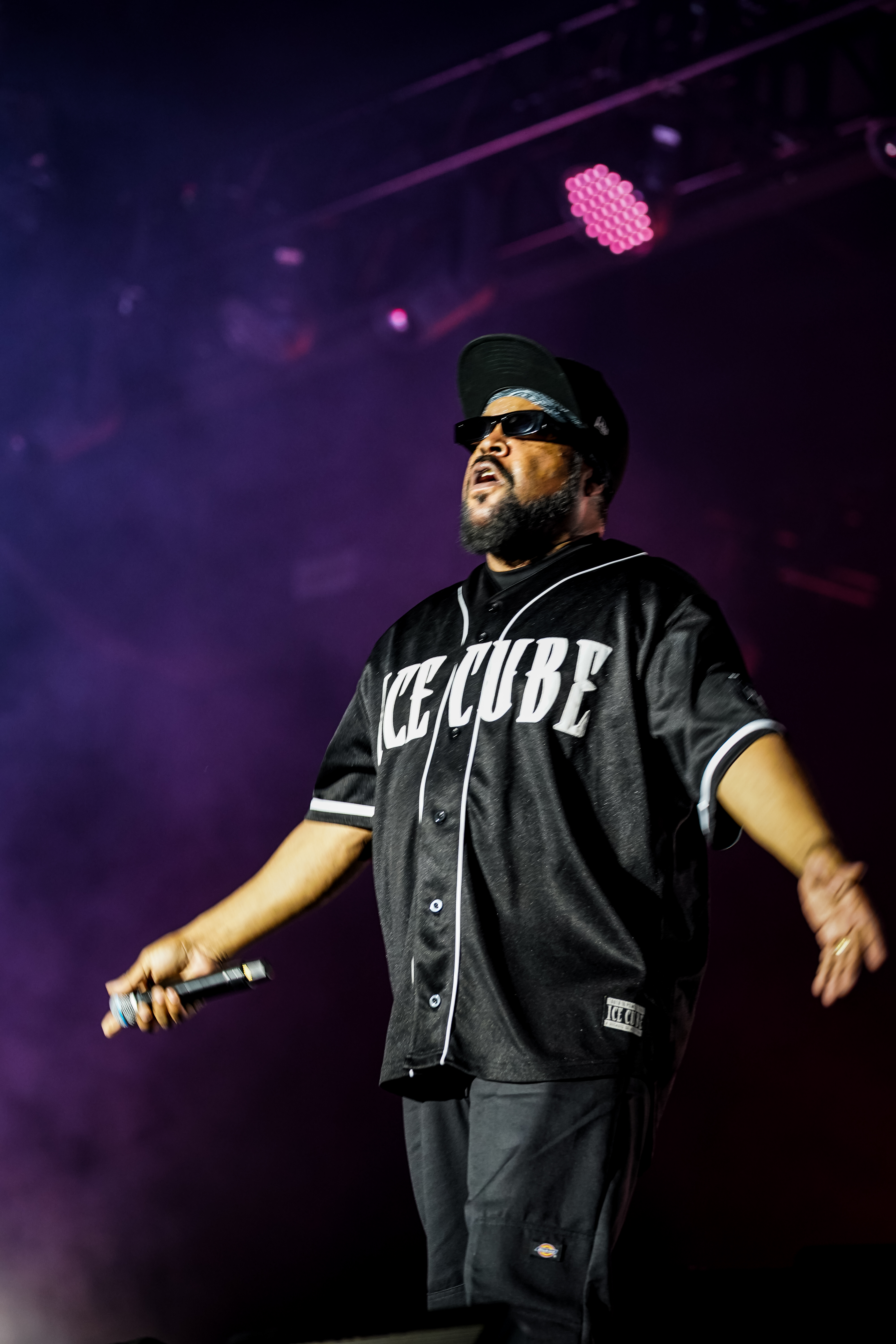 Ice Cube — California Roots Music & Arts Festival 2026 — Cali Roots 2026
