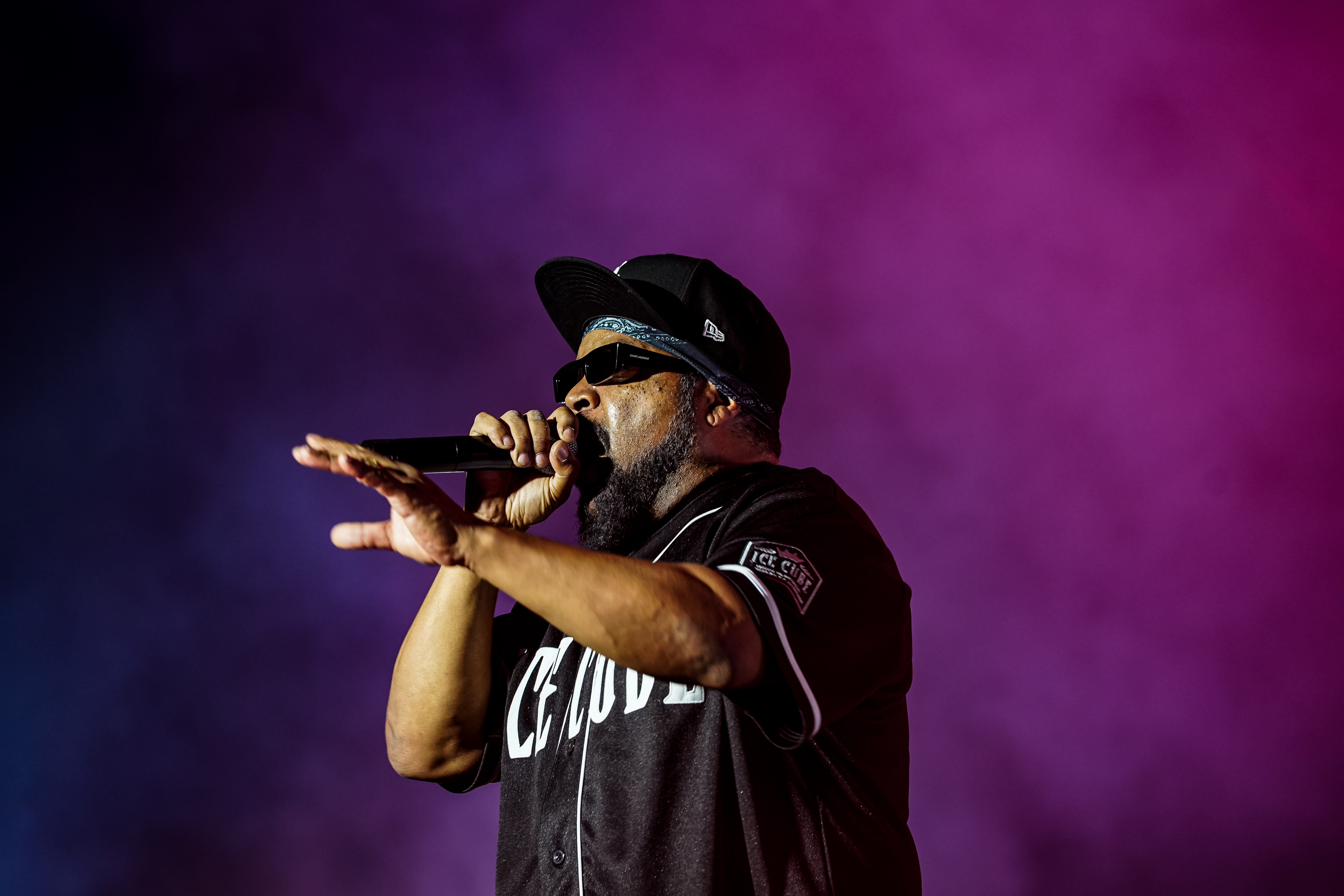 Ice Cube — California Roots Music & Arts Festival 2026 — Cali Roots 2026
