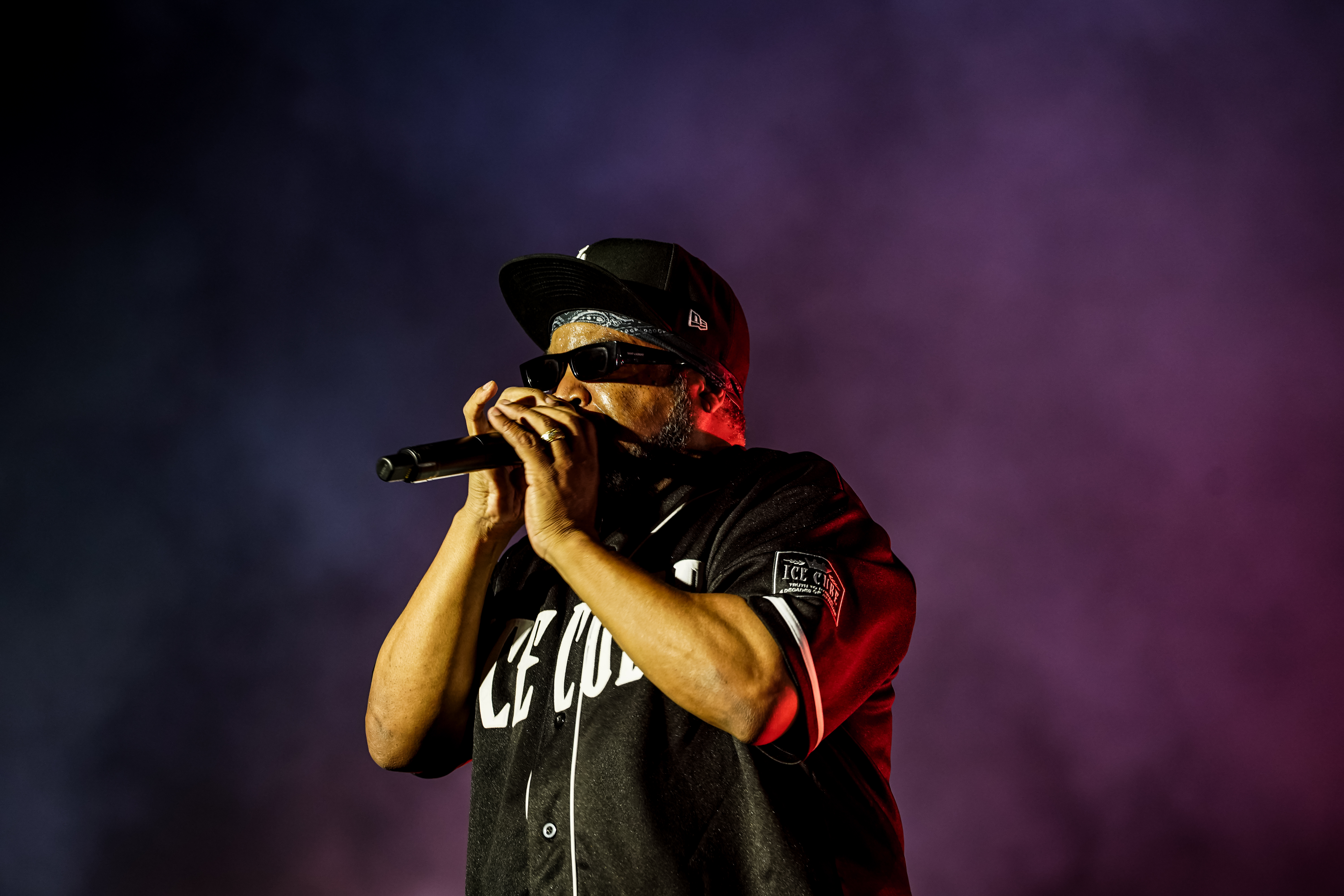 Ice Cube — California Roots Music & Arts Festival 2026 — Cali Roots 2026