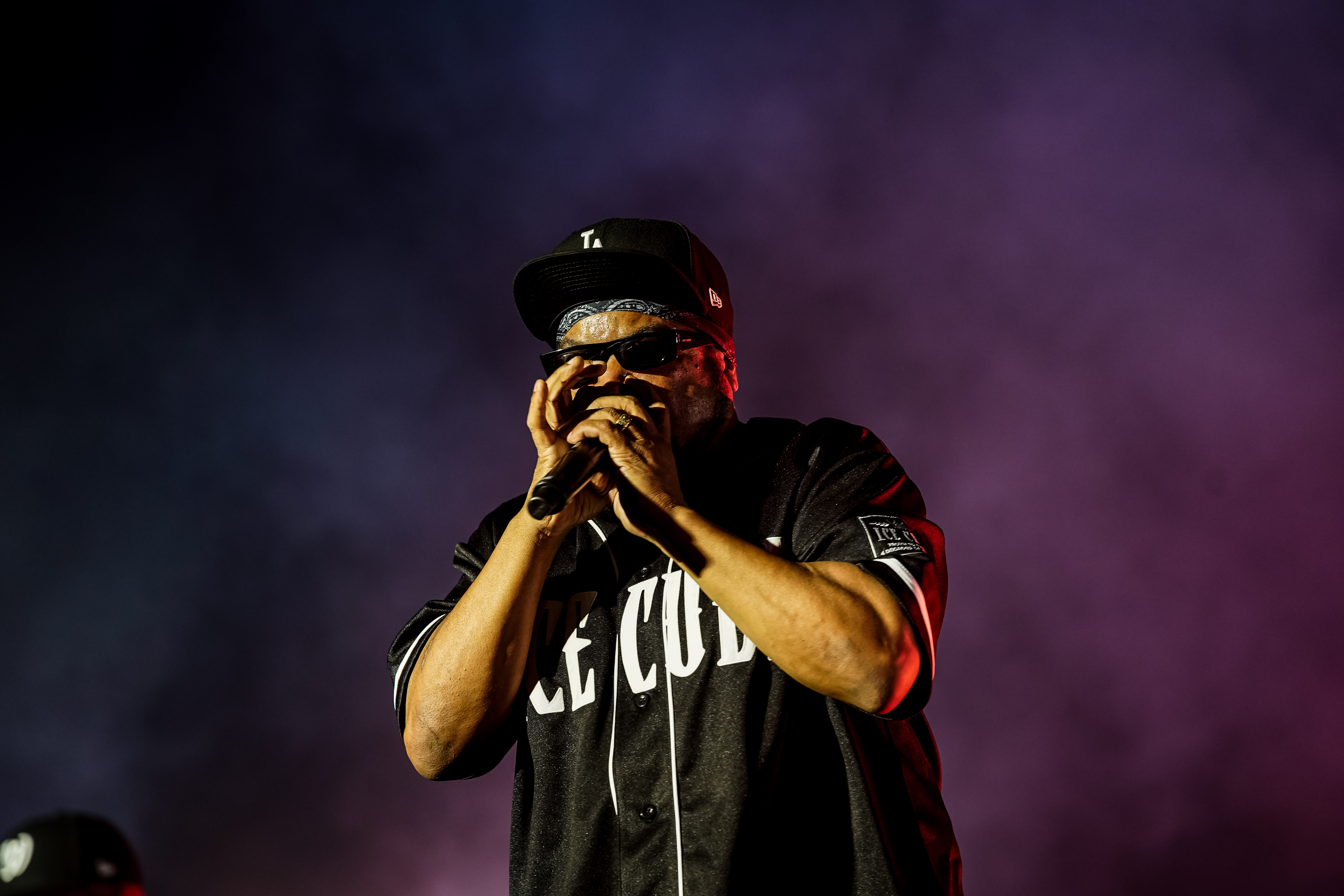 Ice Cube — California Roots Music & Arts Festival 2026 — Cali Roots 2026
