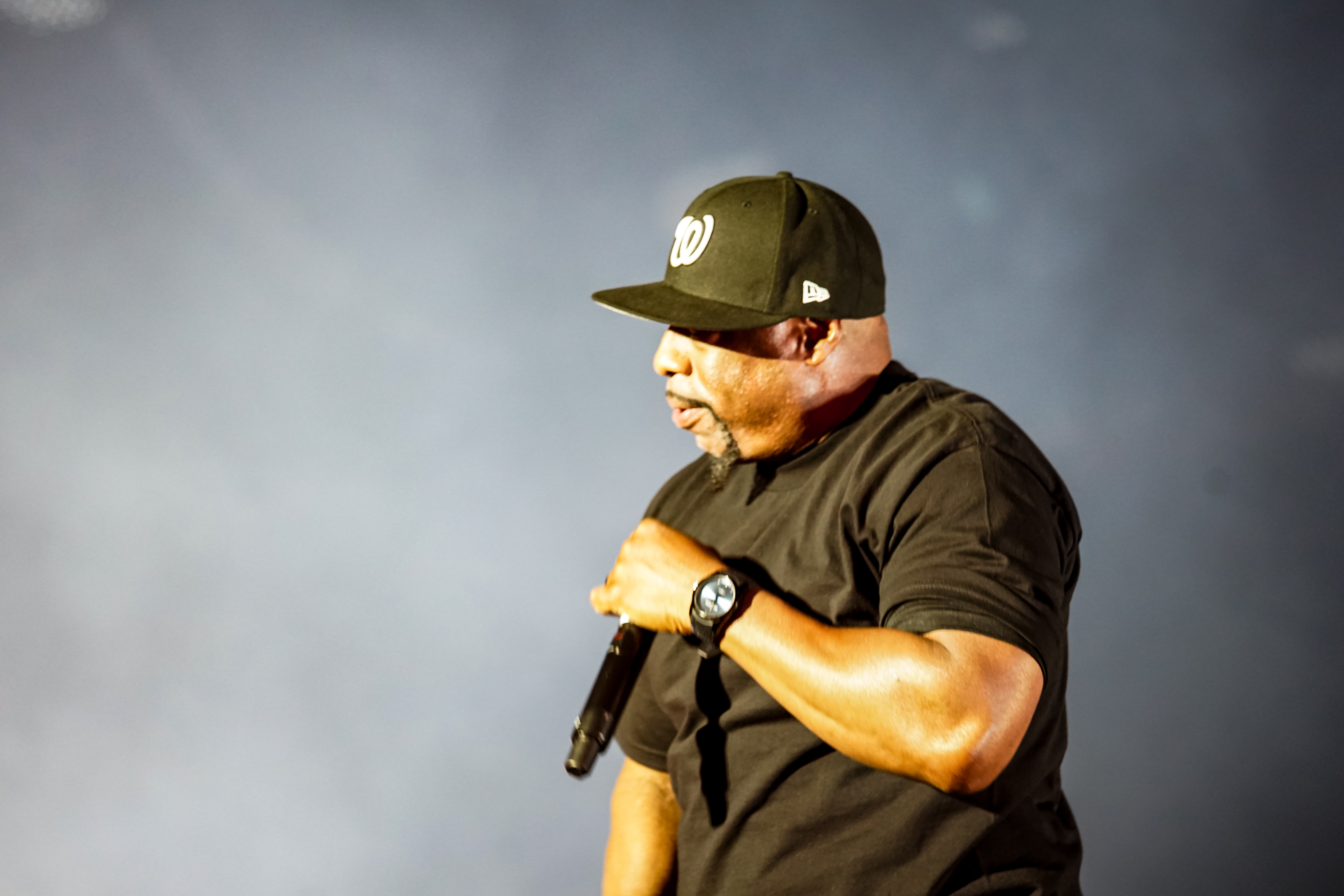 Ice Cube — California Roots Music & Arts Festival 2026 — Cali Roots 2026