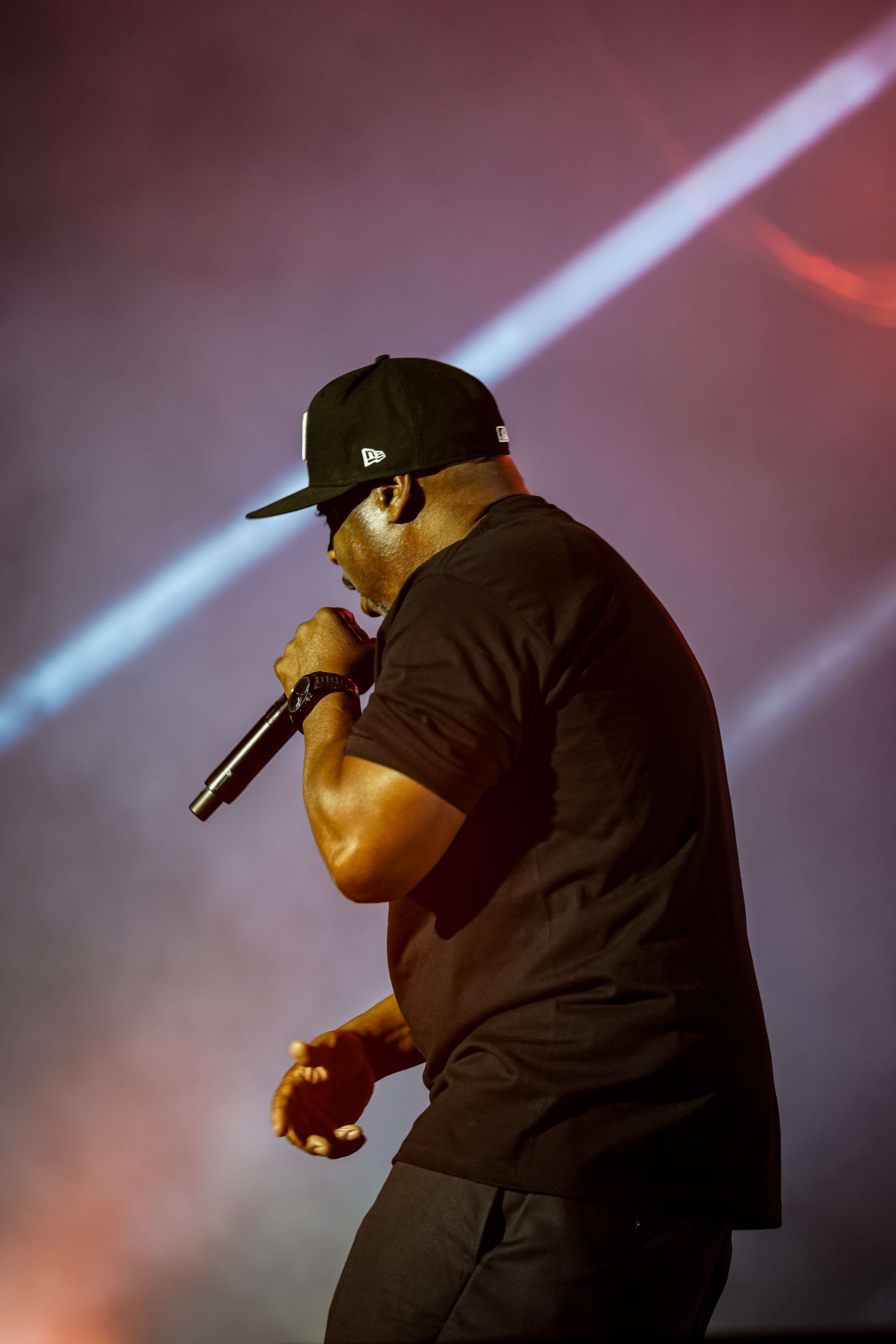 Ice Cube — California Roots Music & Arts Festival 2026 — Cali Roots 2026