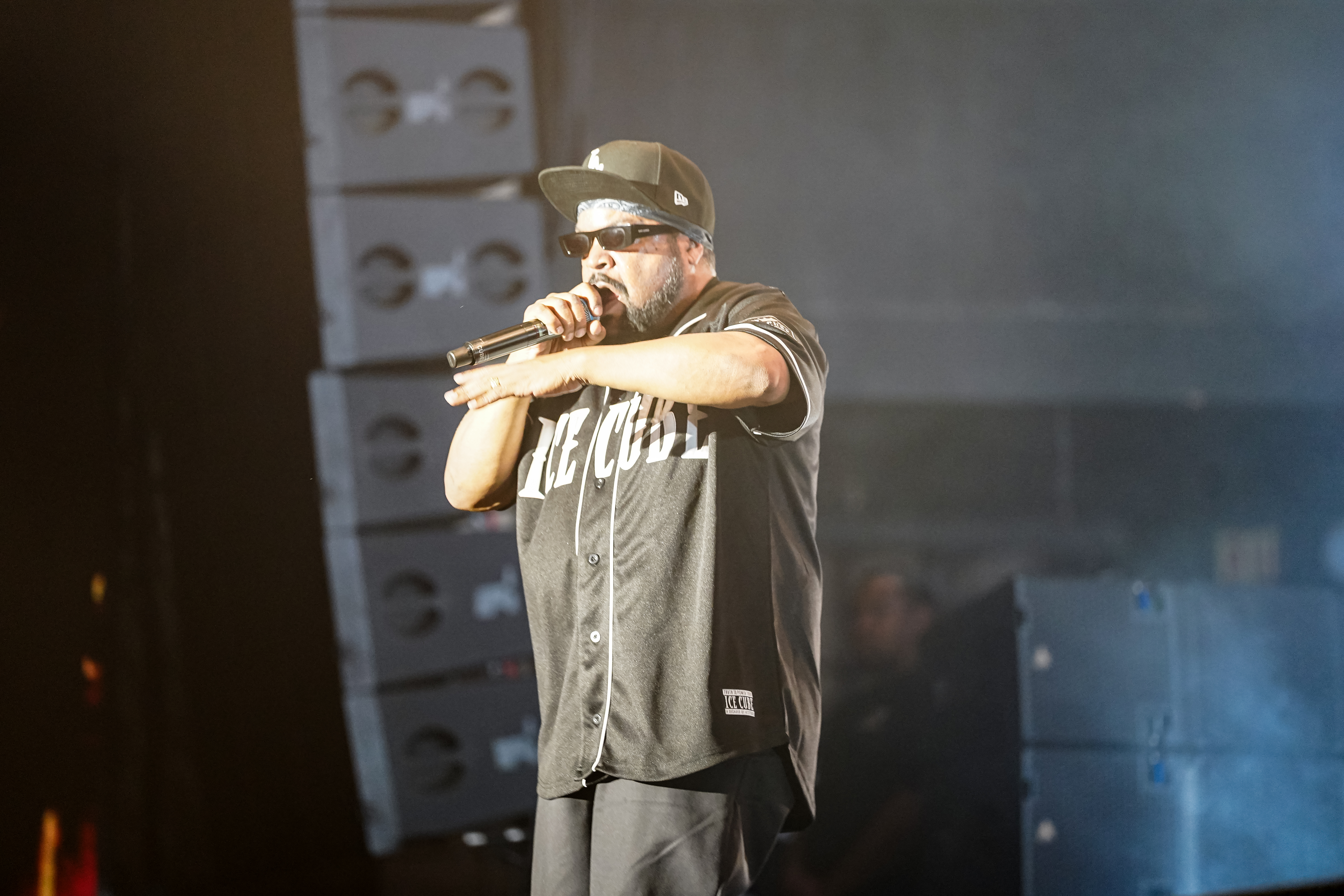Ice Cube — California Roots Music & Arts Festival 2026 — Cali Roots 2026