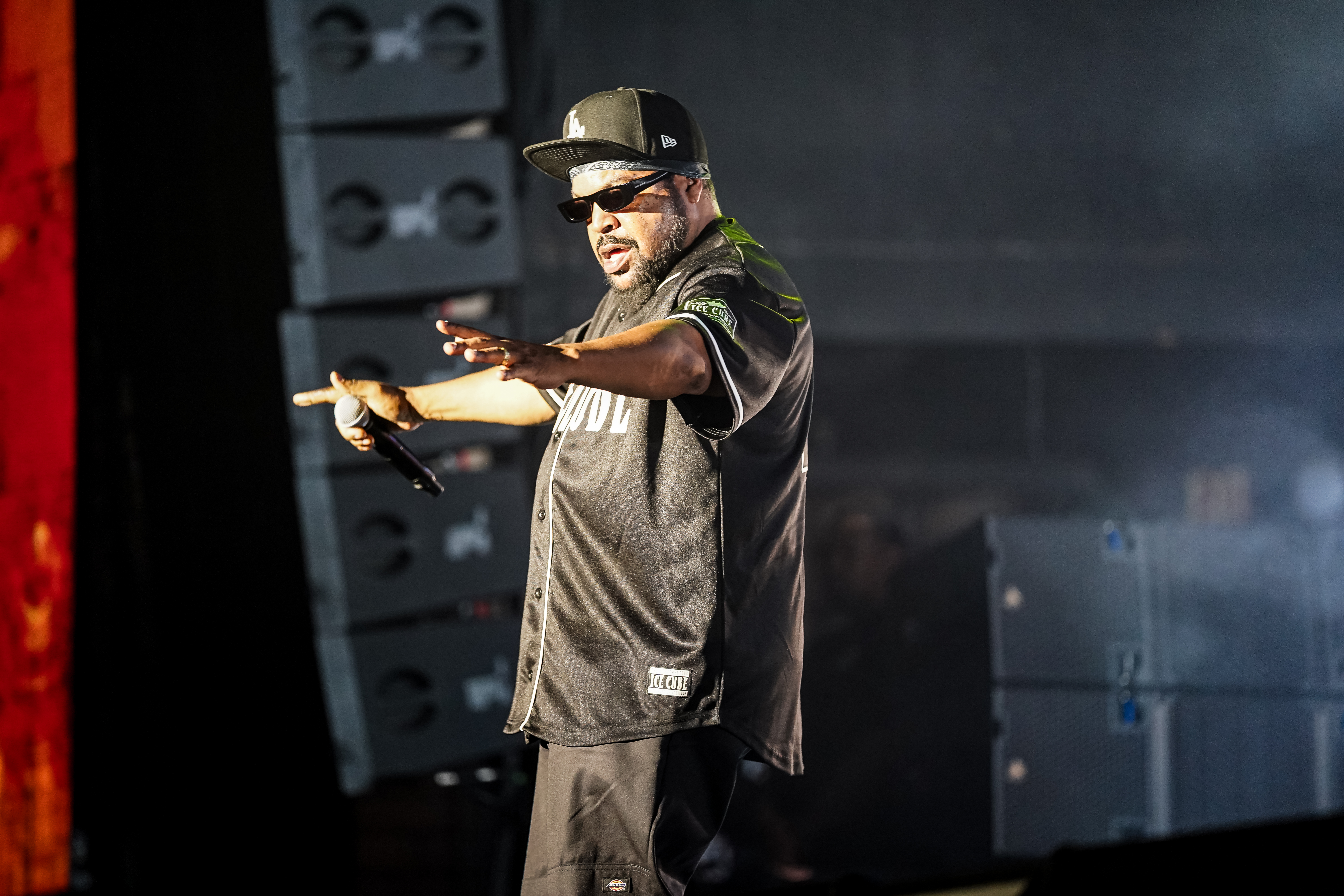 Ice Cube — California Roots Music & Arts Festival 2026 — Cali Roots 2026