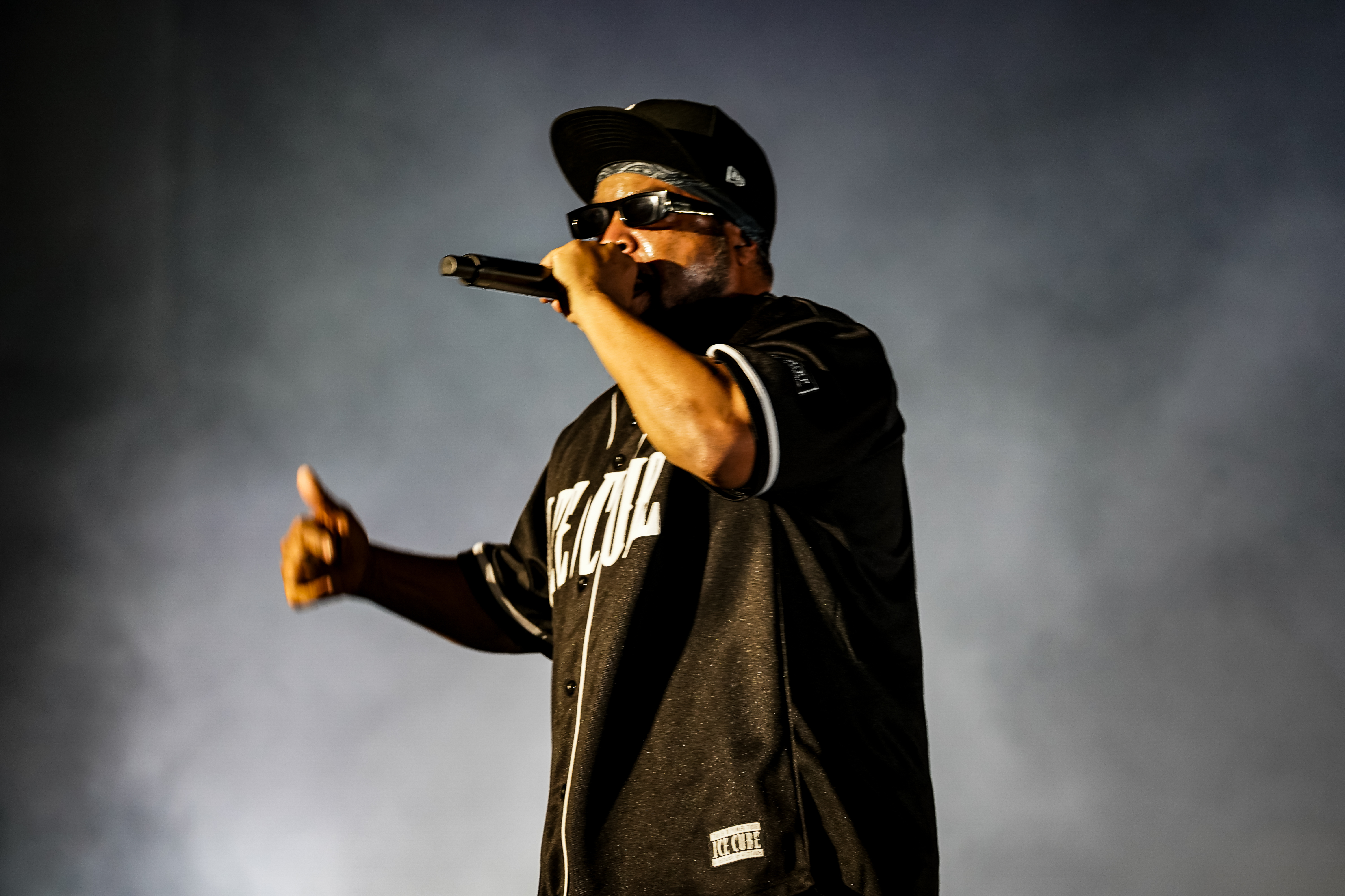 Ice Cube — California Roots Music & Arts Festival 2026 — Cali Roots 2026