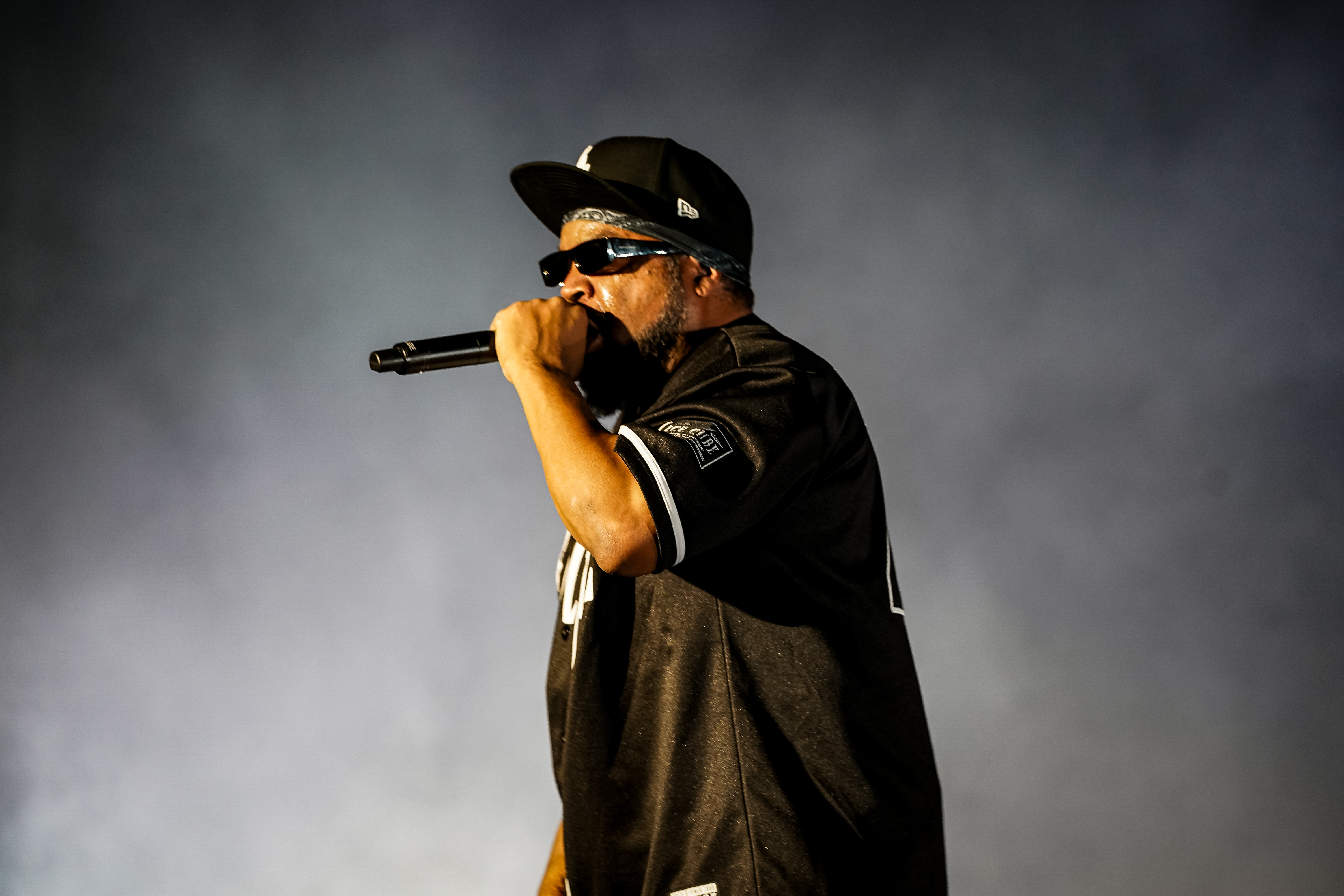Ice Cube — California Roots Music & Arts Festival 2026 — Cali Roots 2026