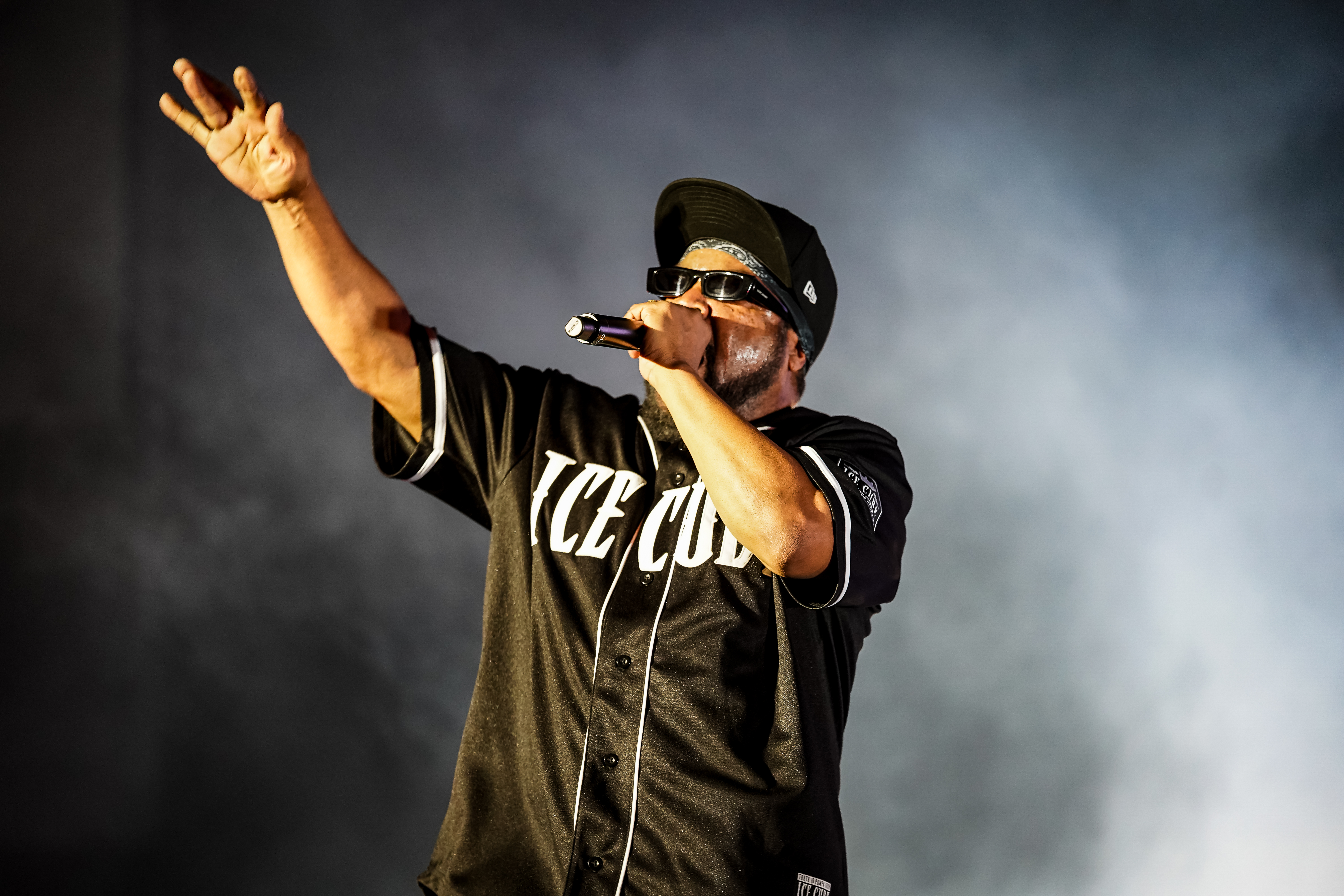 Ice Cube — California Roots Music & Arts Festival 2026 — Cali Roots 2026