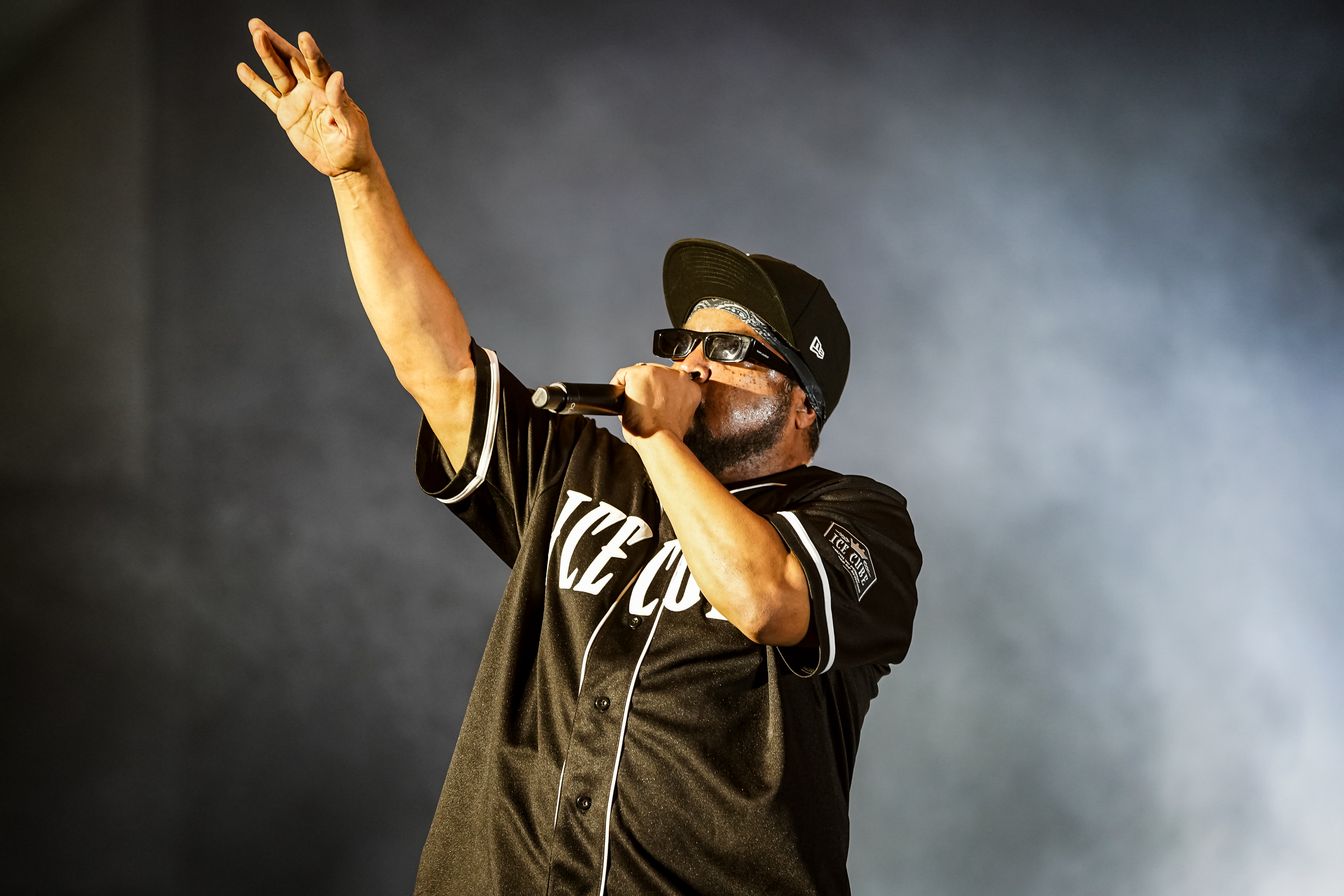 Ice Cube — California Roots Music & Arts Festival 2026 — Cali Roots 2026