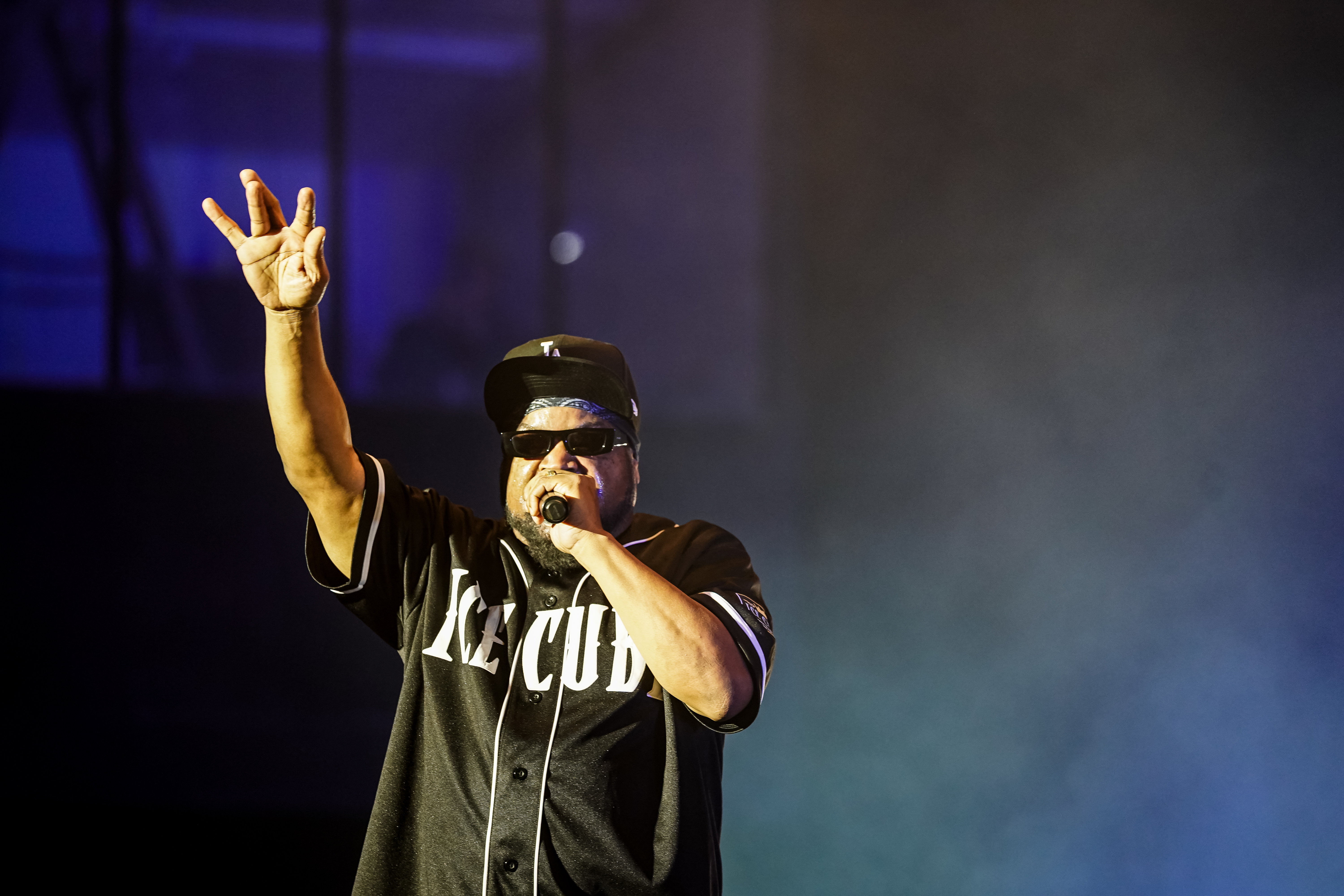 Ice Cube — California Roots Music & Arts Festival 2026 — Cali Roots 2026