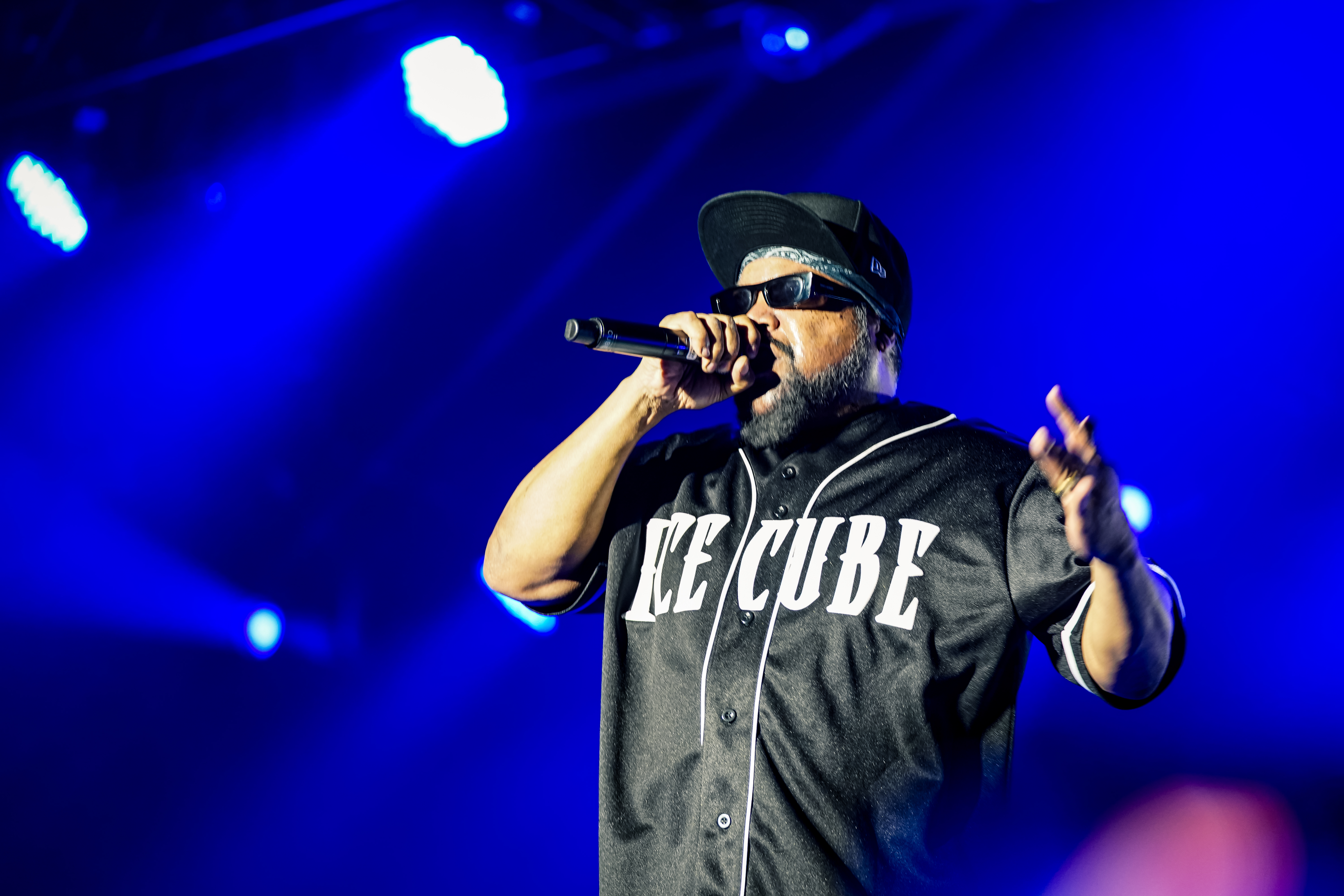 Ice Cube — California Roots Music & Arts Festival 2026 — Cali Roots 2026