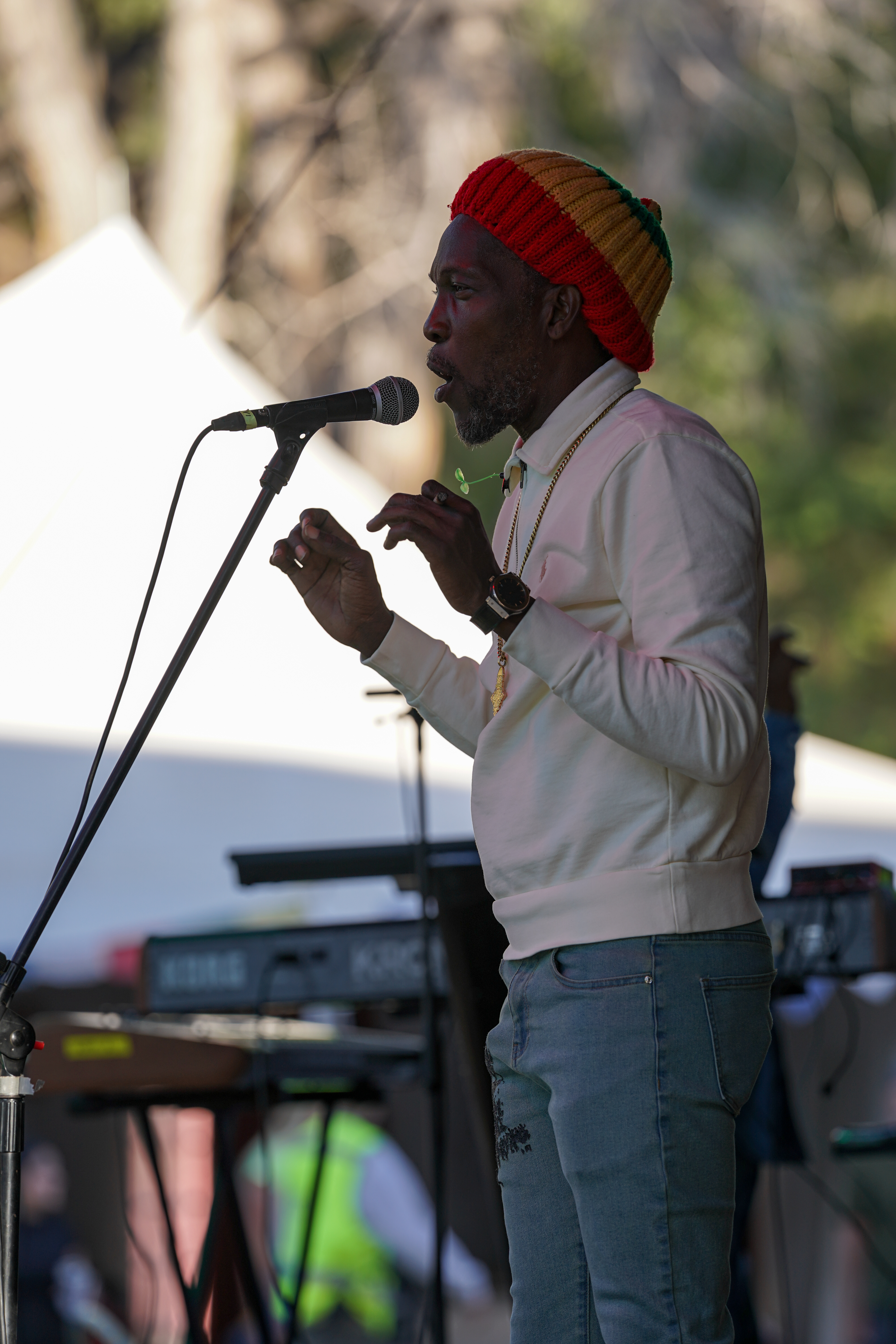 Marlon Asher — Rise & Vibes Festival 2026 — Tico Time River Resort