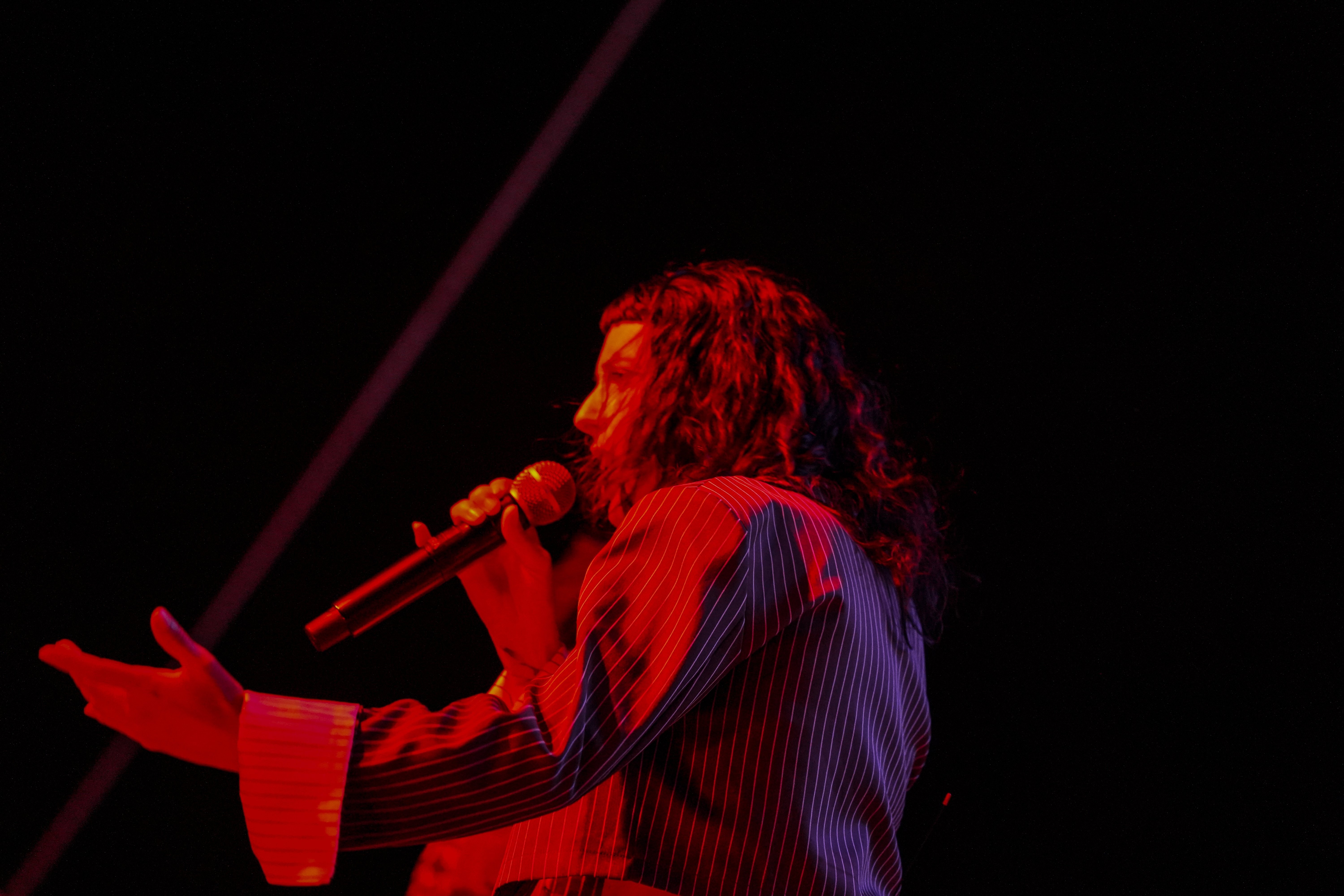 Thievery Corporation — Rise & Vibes Festival 2026 — Tico Time River Resort