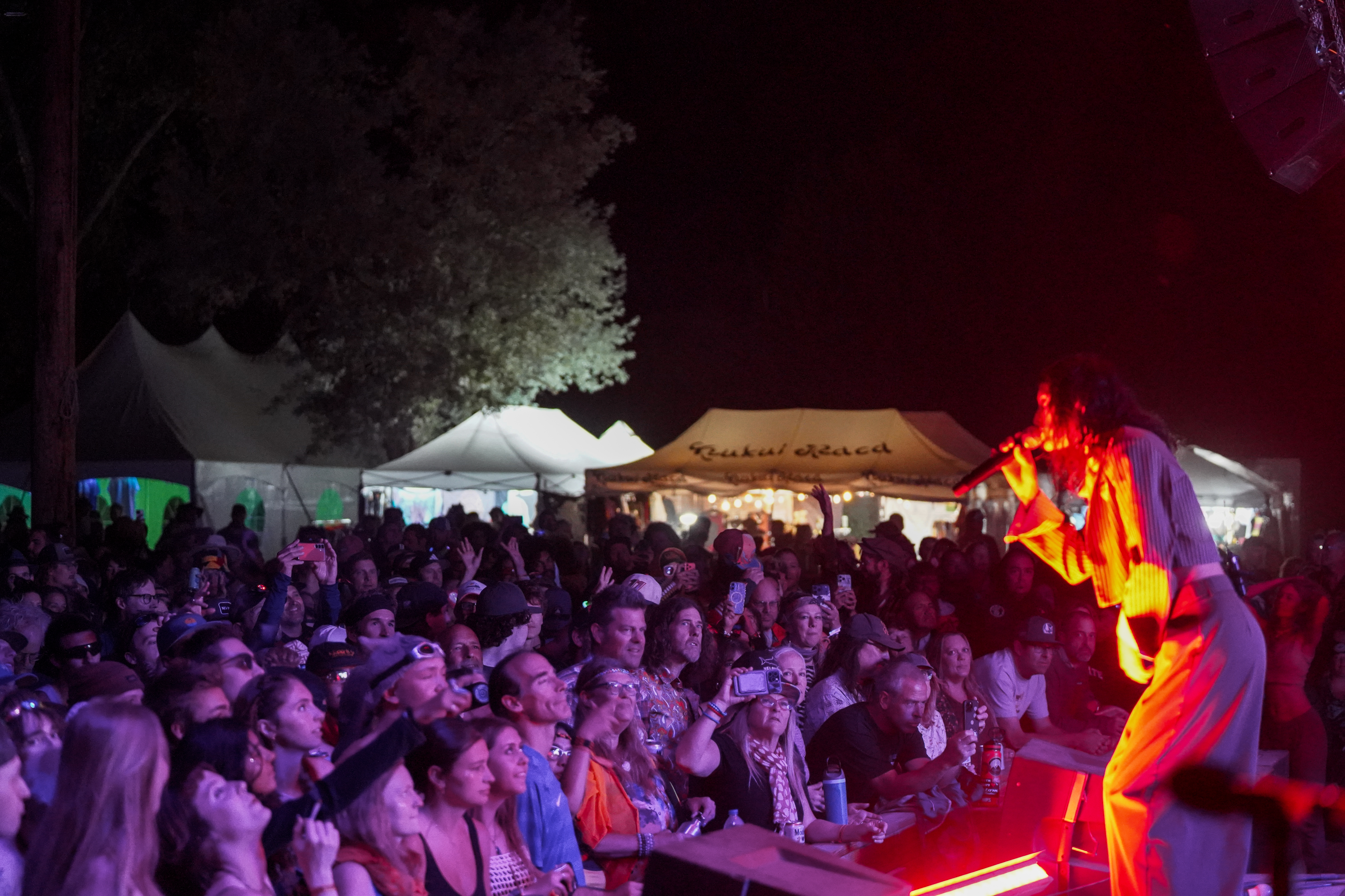 Thievery Corporation — Rise & Vibes Festival 2026 — Tico Time River Resort