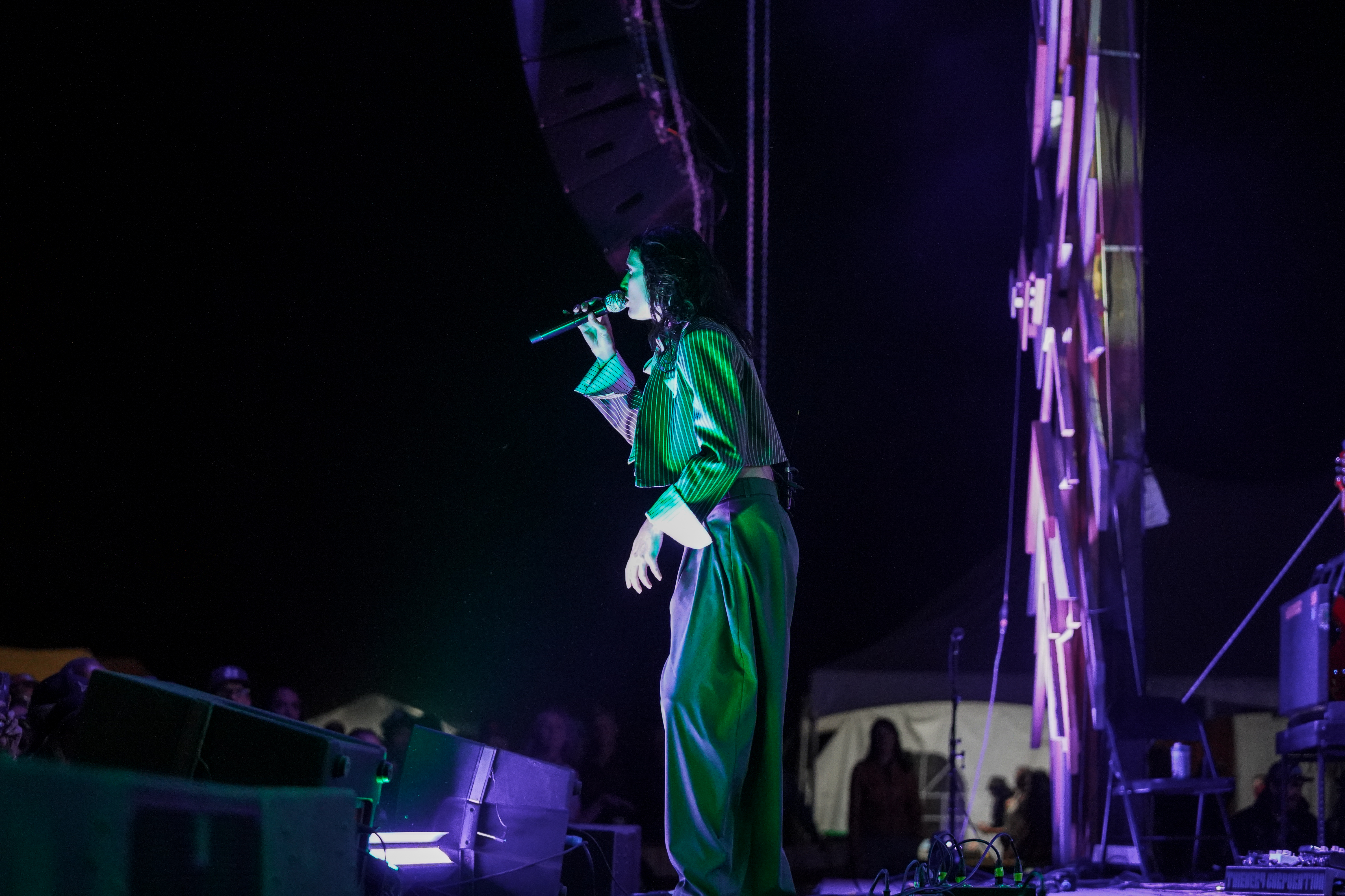 Thievery Corporation — Rise & Vibes Festival 2026 — Tico Time River Resort